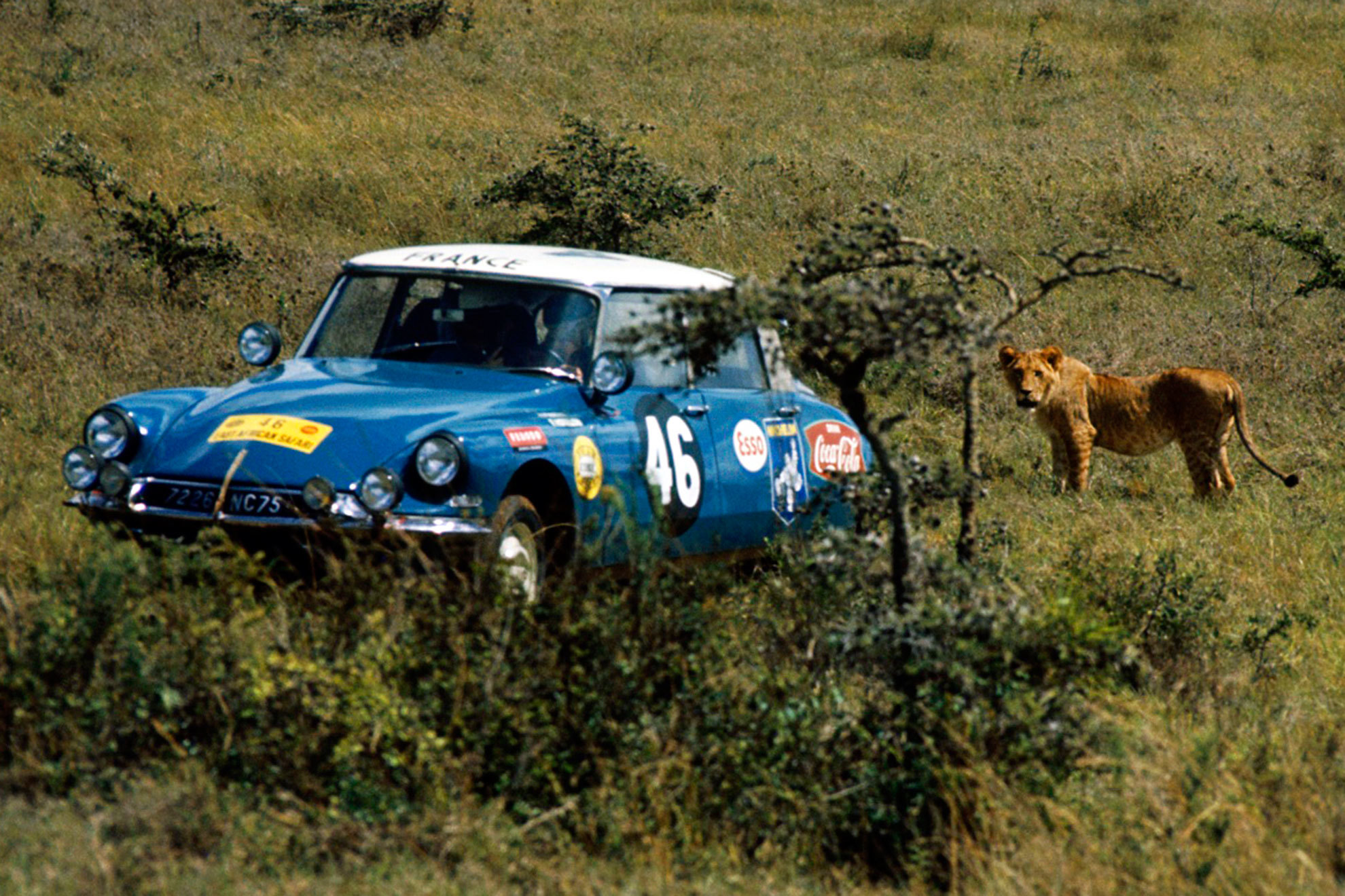 Un DS, participando en un Rallye Safari a finales de los años 60.