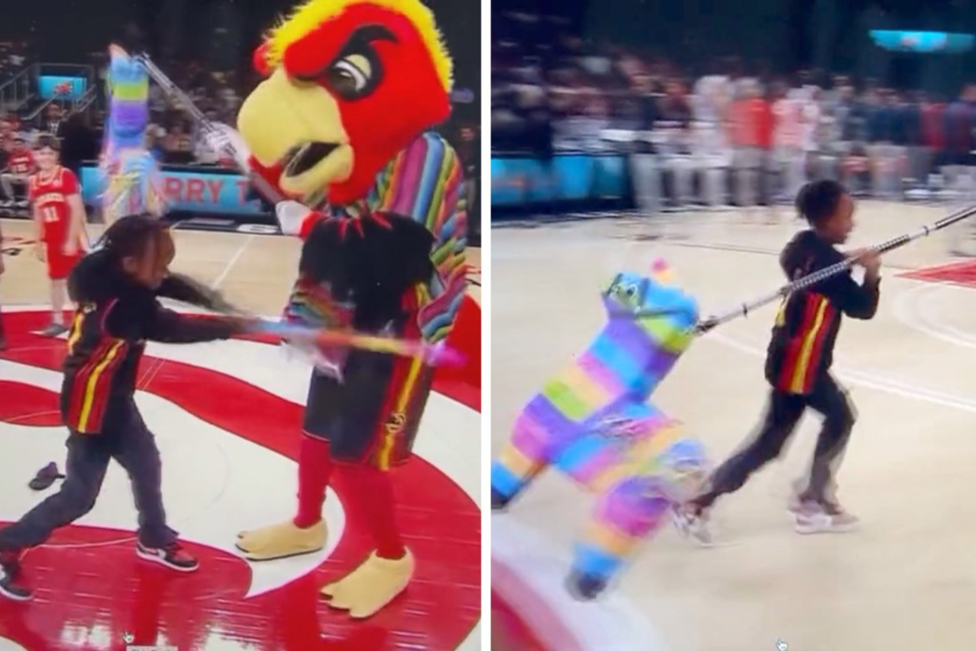 Being a mascot in the NBA is a risky profession