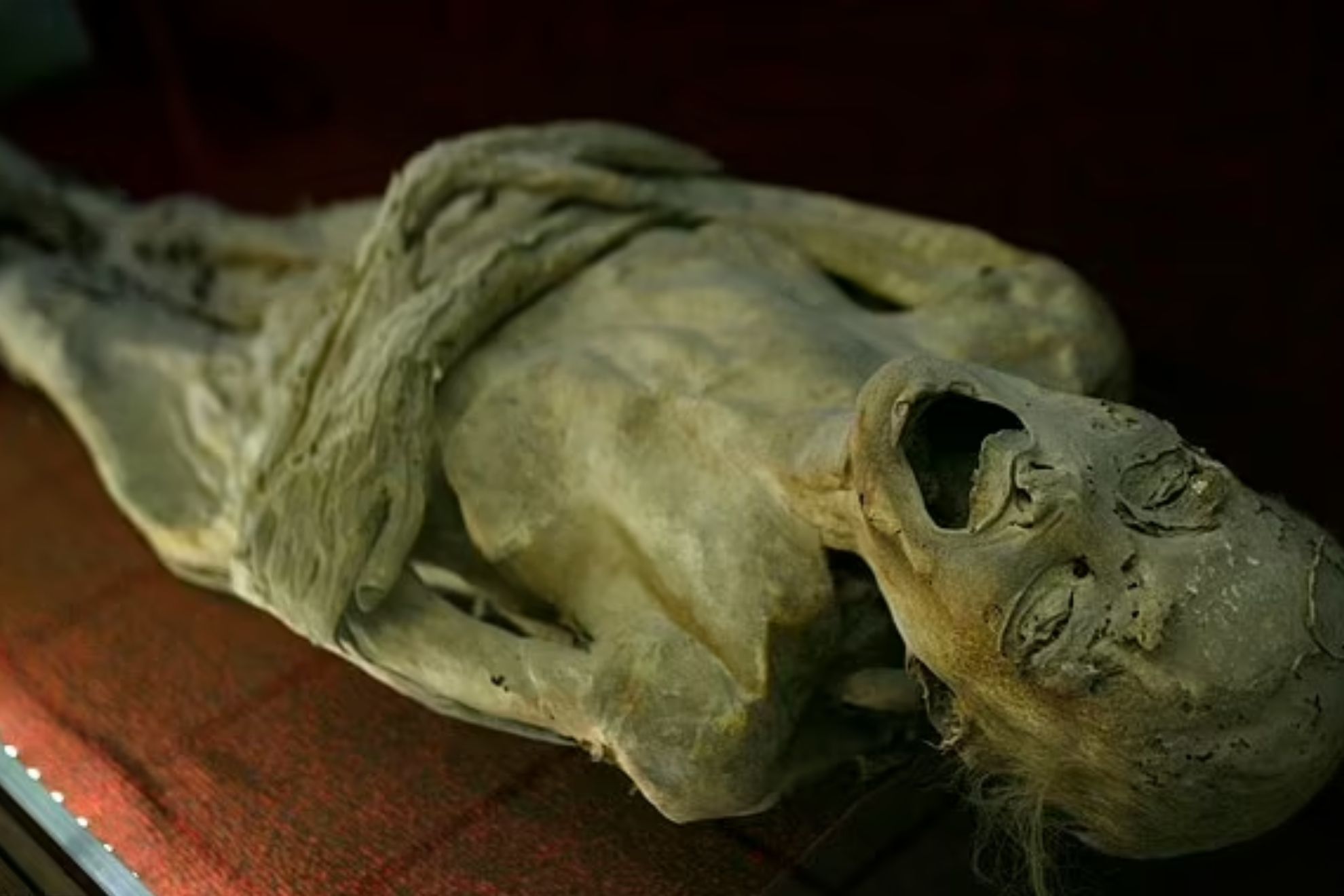 El regreso de la momia en la vida real: un cadáver en México tiene 'crecimientos fúngicos' que podrían propagarse a los visitantes