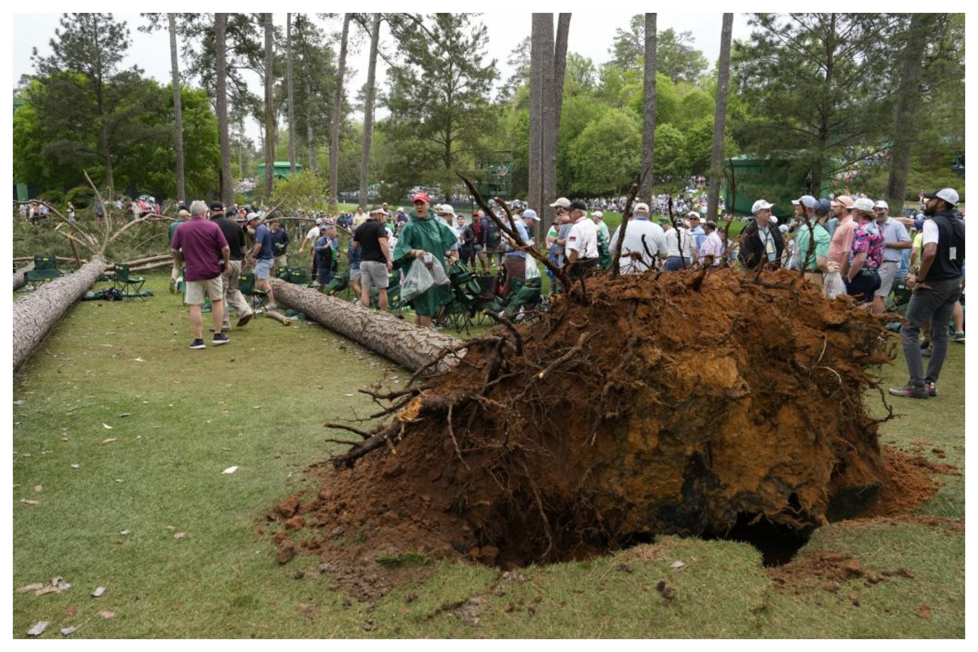 La caída de tres árboles siembra el pánico en el Masters, aunque, por fortuna, no hay heridos