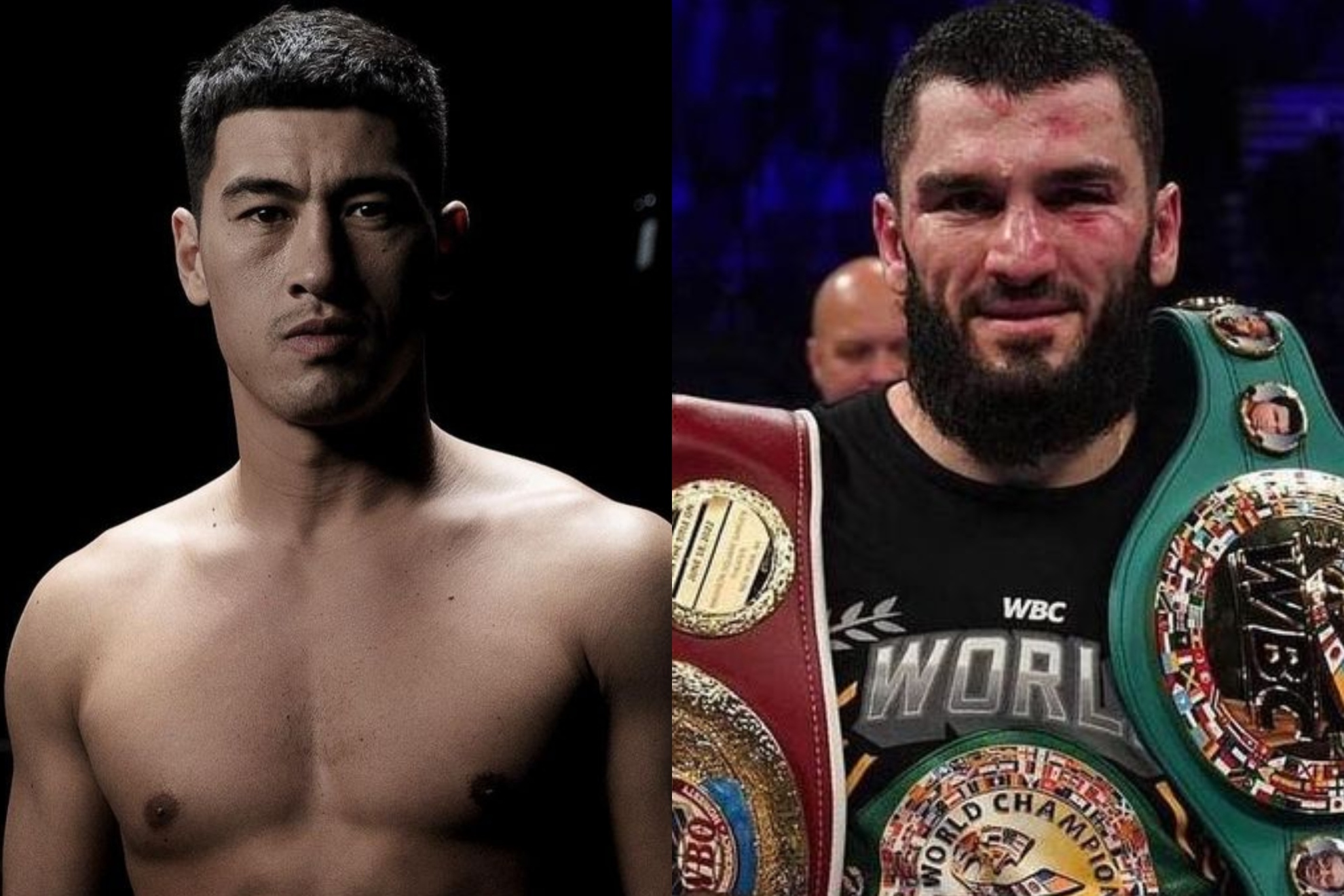 Knockout frustration: Bivol and Beterbiev's unification fight hits roadblocks