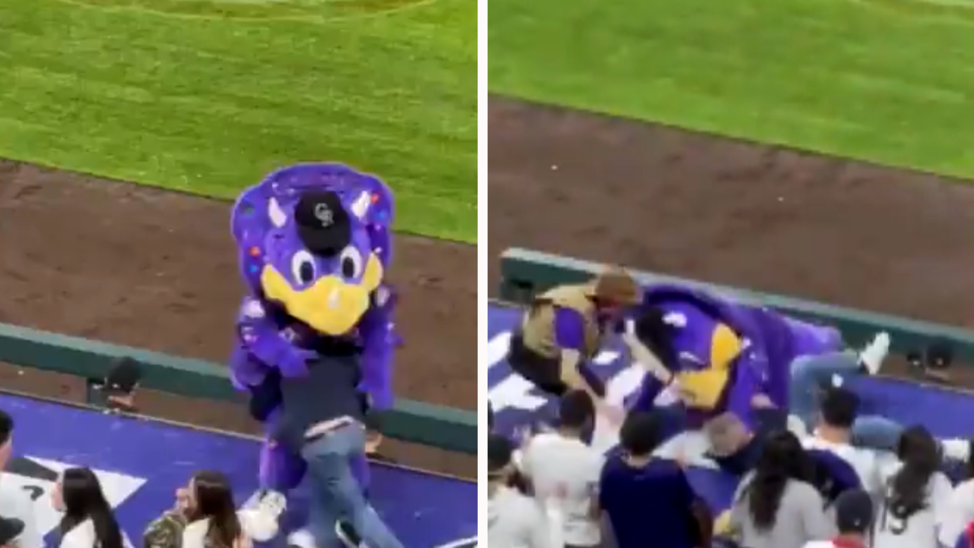 Police searching for man who brutally tackled mascot during Colorado Rockies game