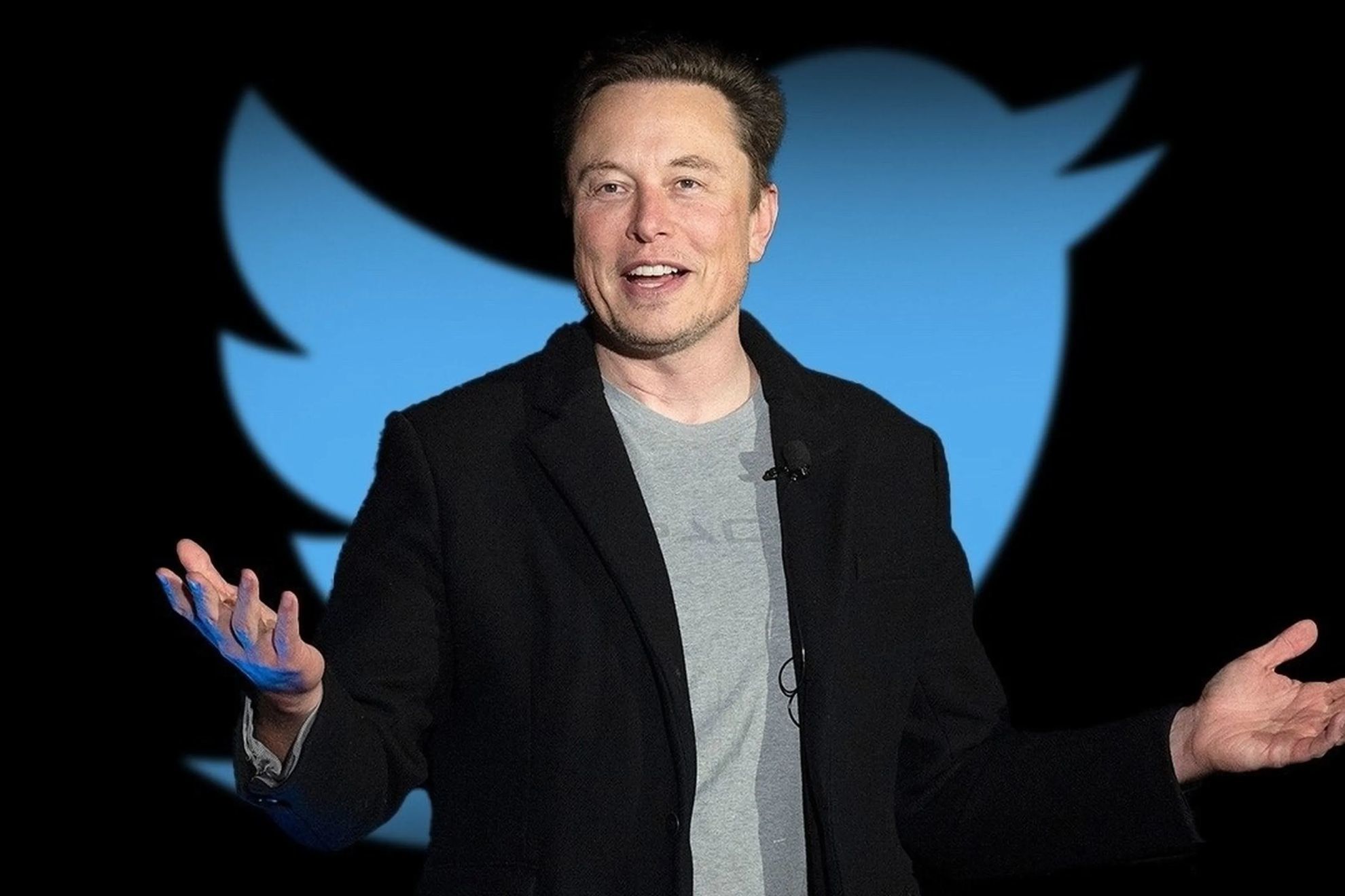 Ads frozen in Europe on Elon Musk's rebranded Twitter platform X