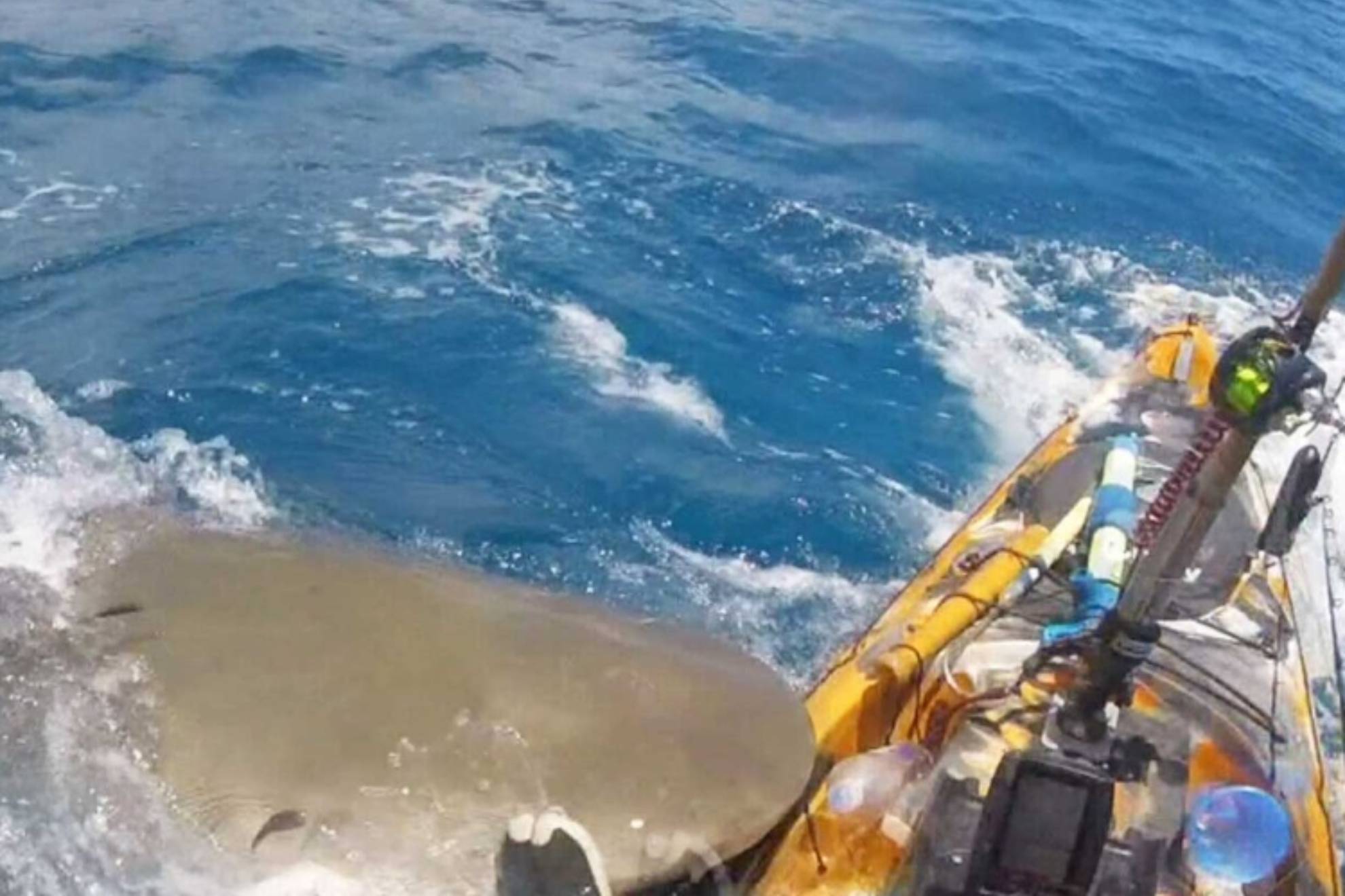 Un tiburón ataca con fiereza a un kayak: los gritos de terror del pescador en peligro de muerte