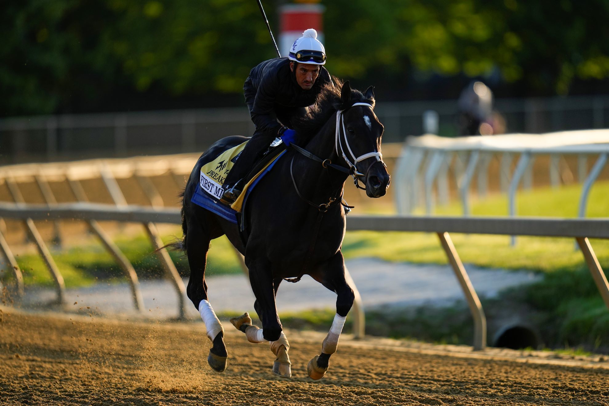 Preakness Stakes entrant First Mission works out ahead of the 148th running of the Preakness Stakes horse.