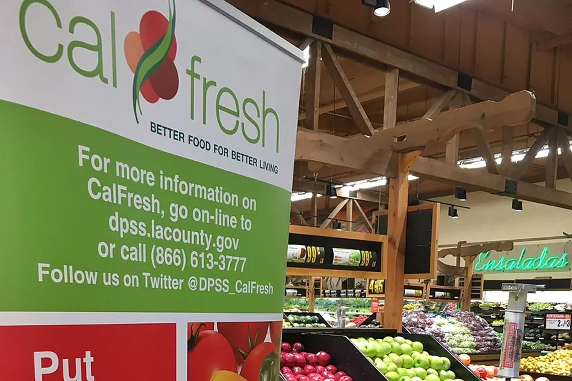 CalFresh Recertification: When to renew your benefits so you dont lose them in September 2023?