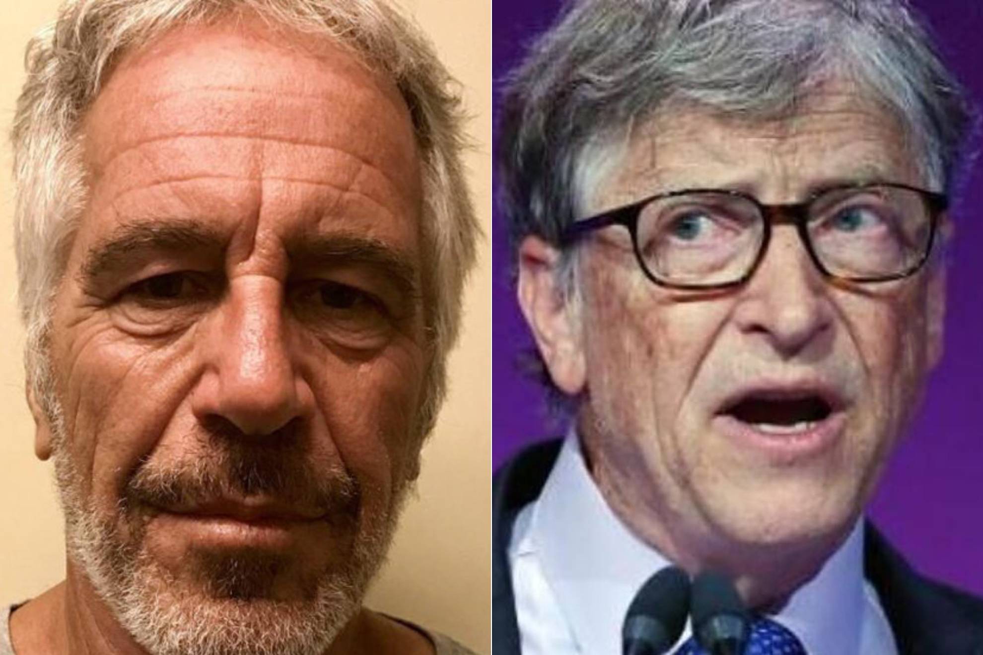 Jeffrey Epstein and Bill Gates