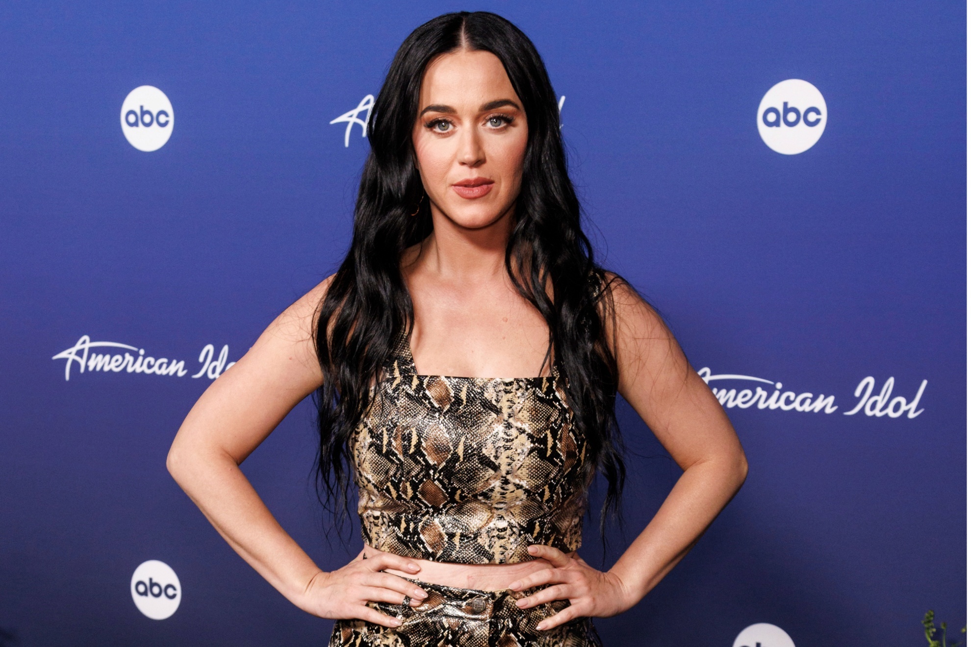 Katy Perry is rumored to quit American Idol to "focus on family"