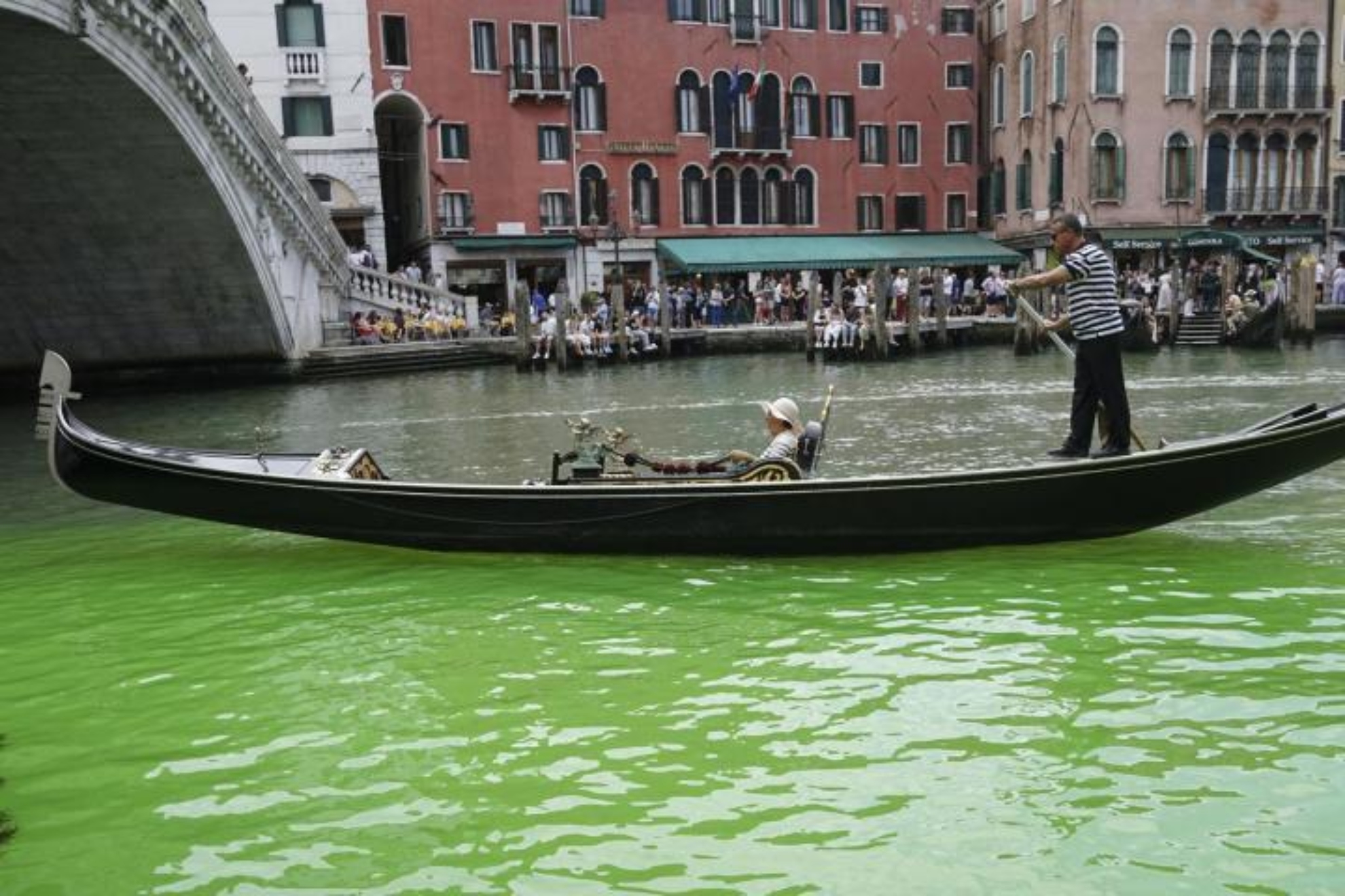 Los canales de Venencia se tiñen... ¡de verde fluoresecente! ¿Por qué?