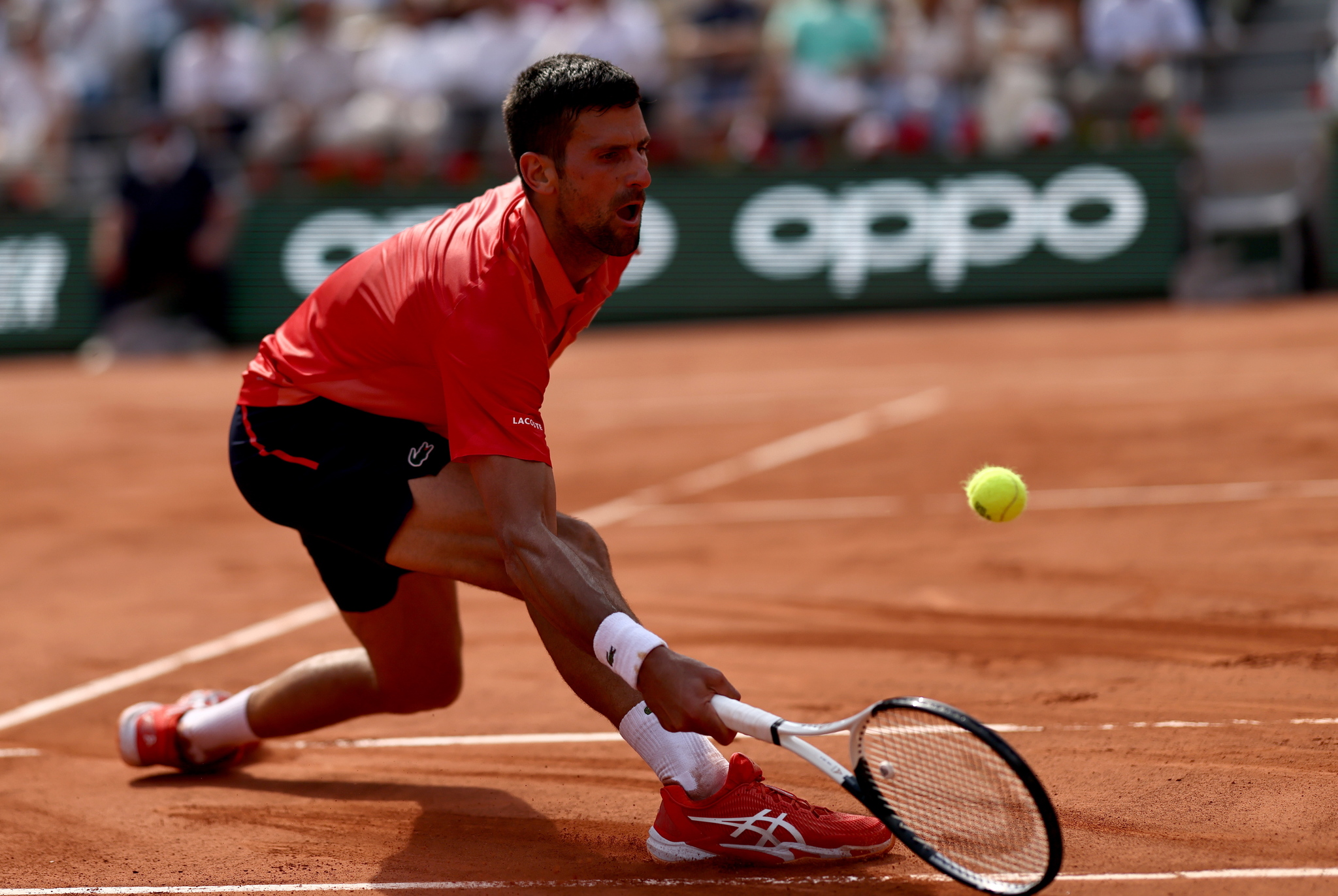 Djokovic - Ruud en directo | Final de Roland Garros en vivo hoy
