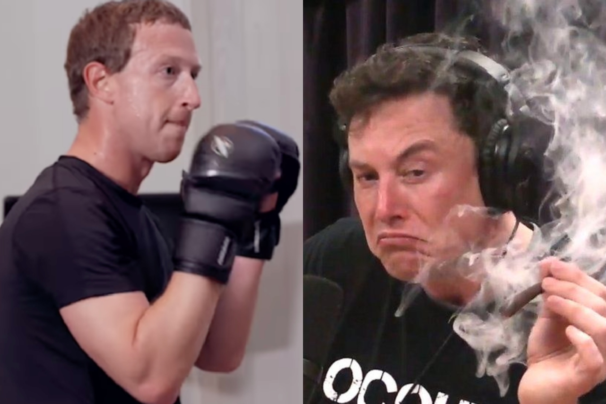 Elon Musk and Mark Zuckerberg's virtual feud intensifies, paving the way for a high-stakes physical showdown
