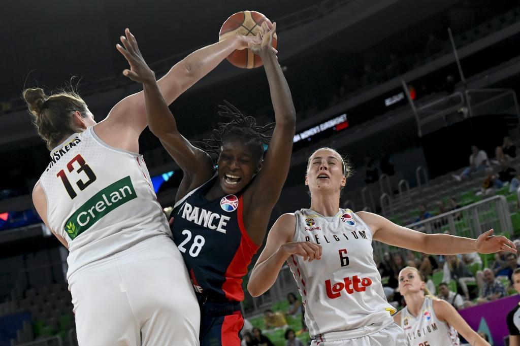 Francia vs belgica eurobasket femenino
