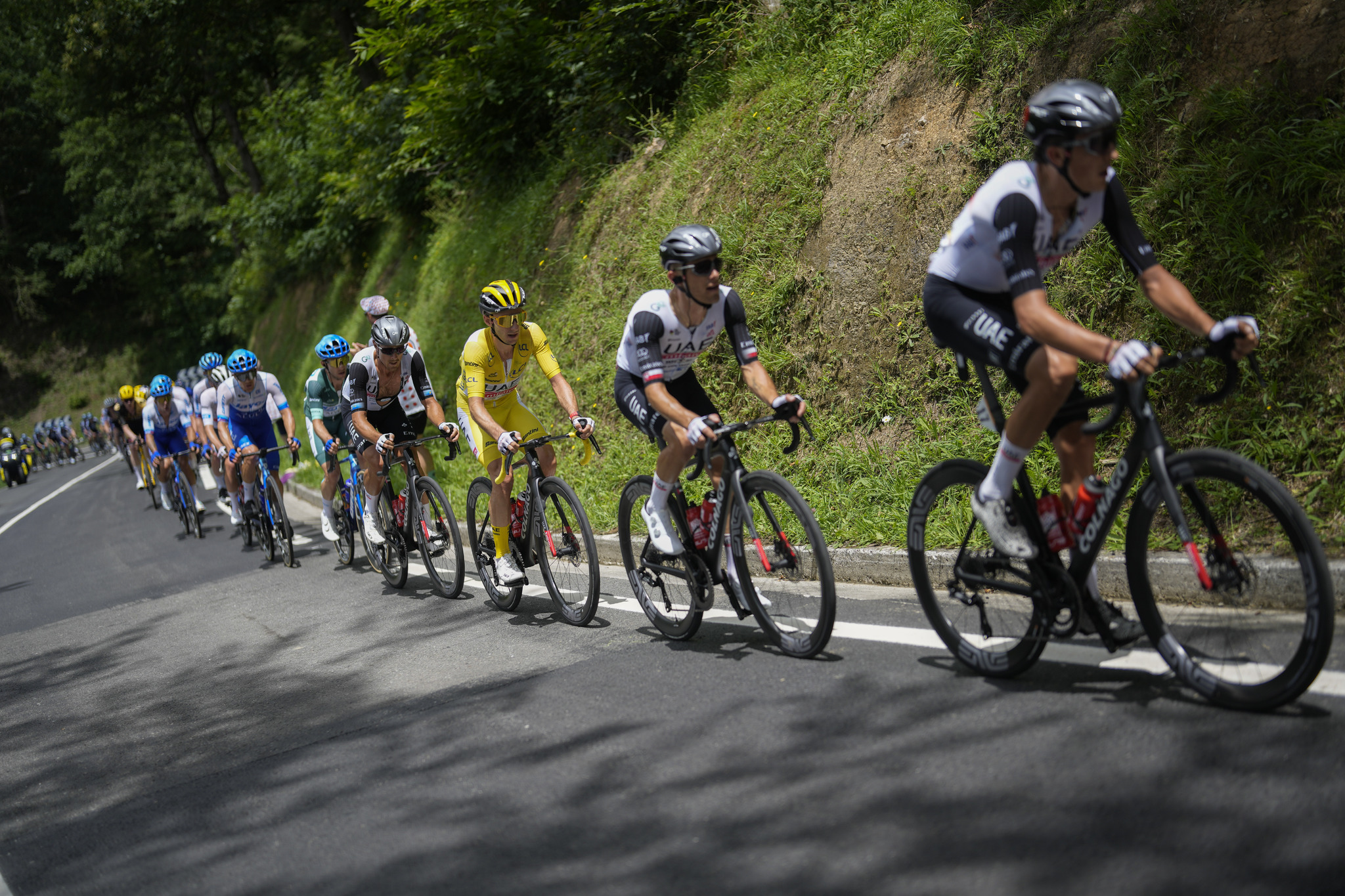 Britain's Adam Yates, wearing the overall leader's yellow jersey, rides in the pack during the second stage of the  lt;HIT gt;Tour lt;/HIT gt; de France cycling race over 209 kilometers (130 miles) with start in Vitoria Gasteiz and finish in San Sebastian, Spain, Sunday, July 2, 2023. (AP Photo/Thibault Camus)