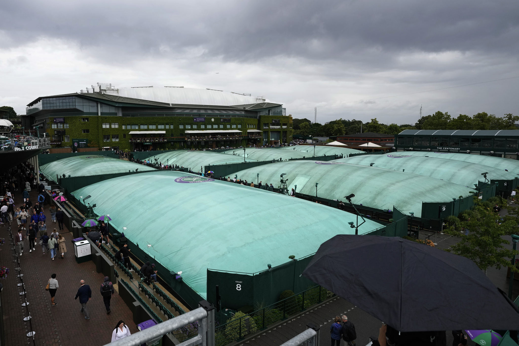 Partidos de Wimbledon 2023 hoy