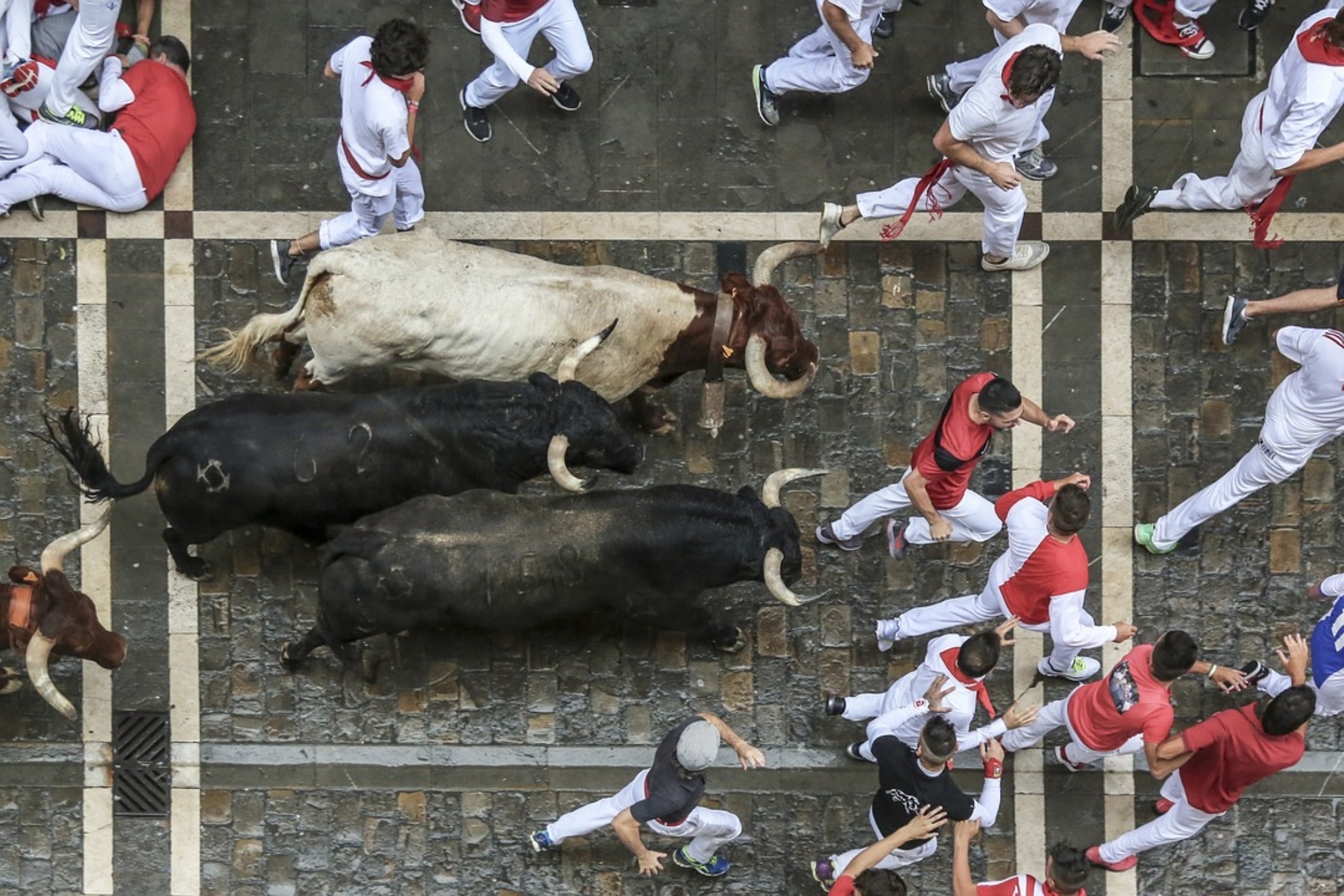 Cuáles son las ganaderías de los encierros de San Fermín 2023 Marca