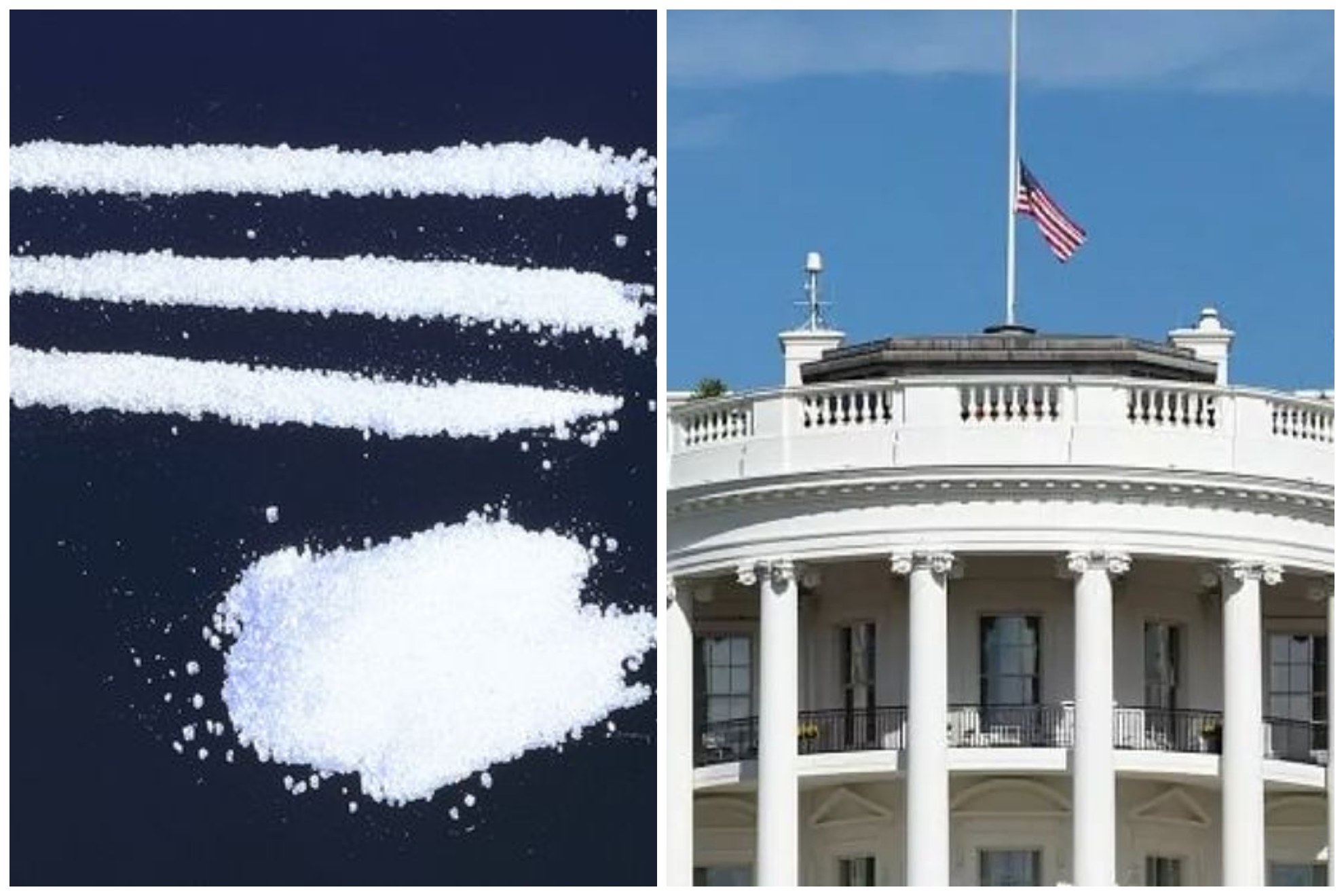 Cocaine found in the White House