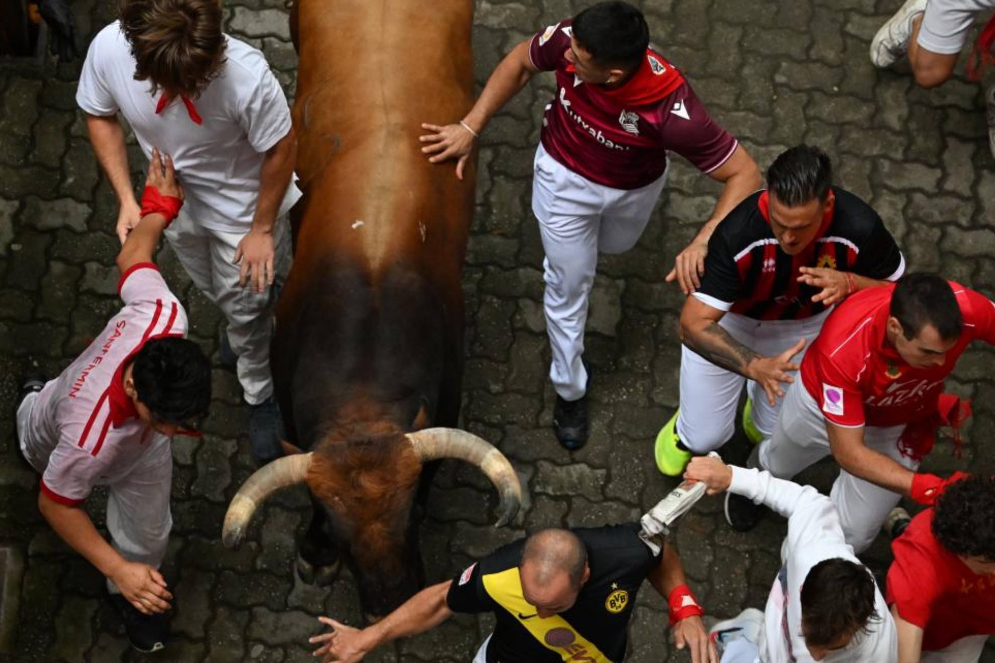 Primer encierro de San Fermn: resumen, cornadas, tiempo y heridos con los toros de La Palmosilla