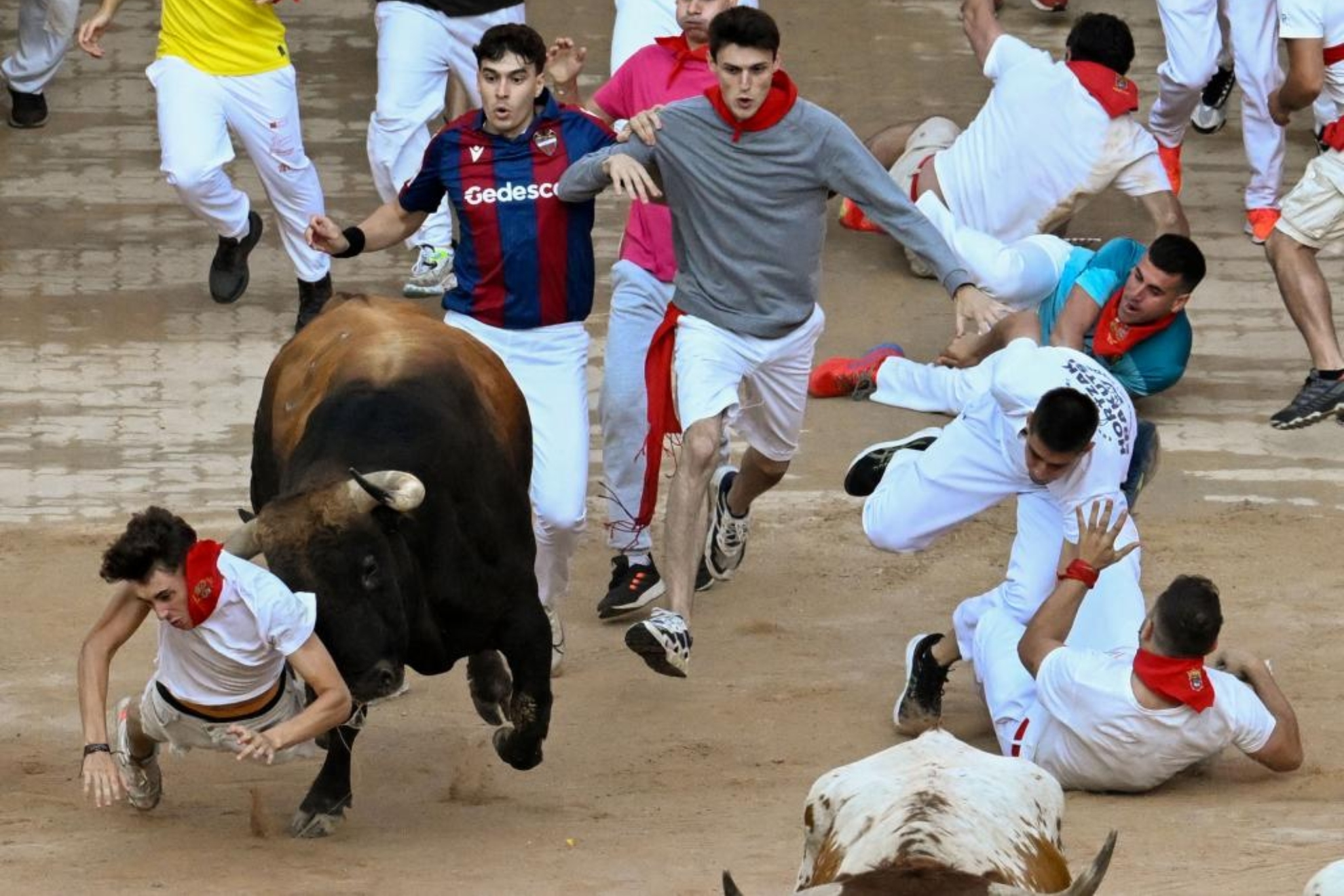 San Fermín, en directo hoy | Encierro del 11 de julio con los toros de Núñez del Cuvillo.