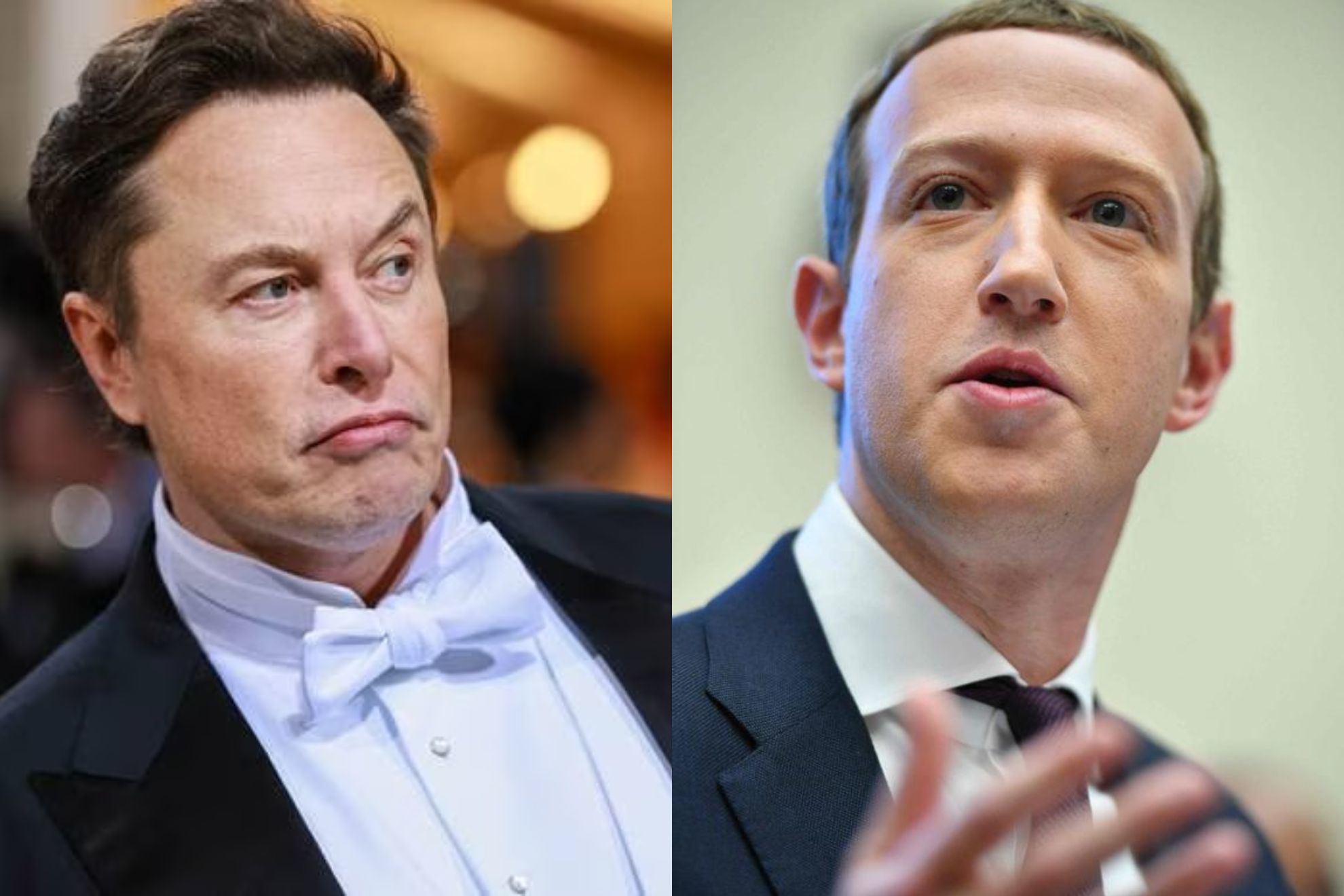 Mark Zuckerberg acepta el reto de medirse el pene con Elon Musk