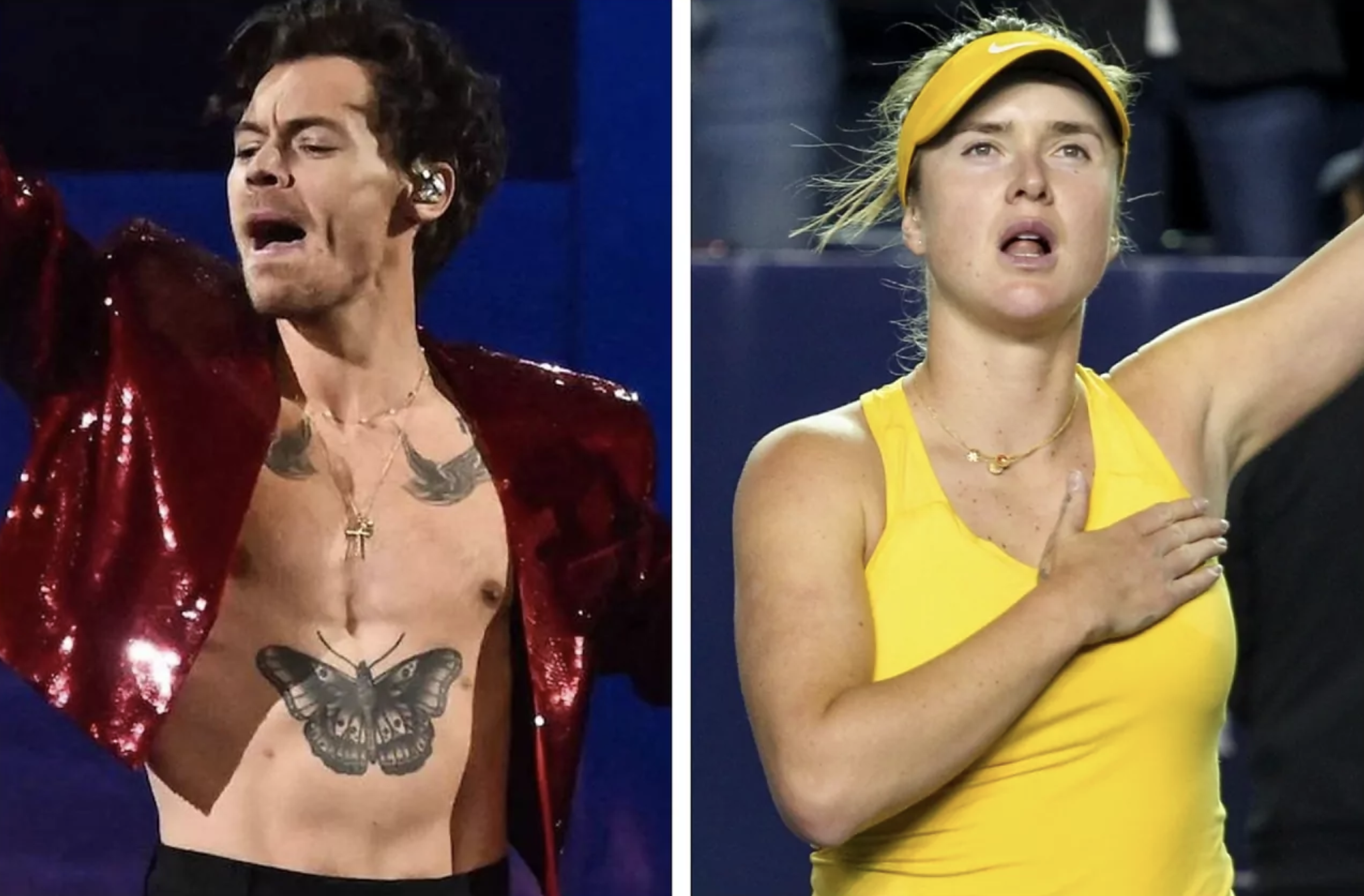 Harry Styles and his surprise gift for Elina Svitolina after she moves on at Wimbledon