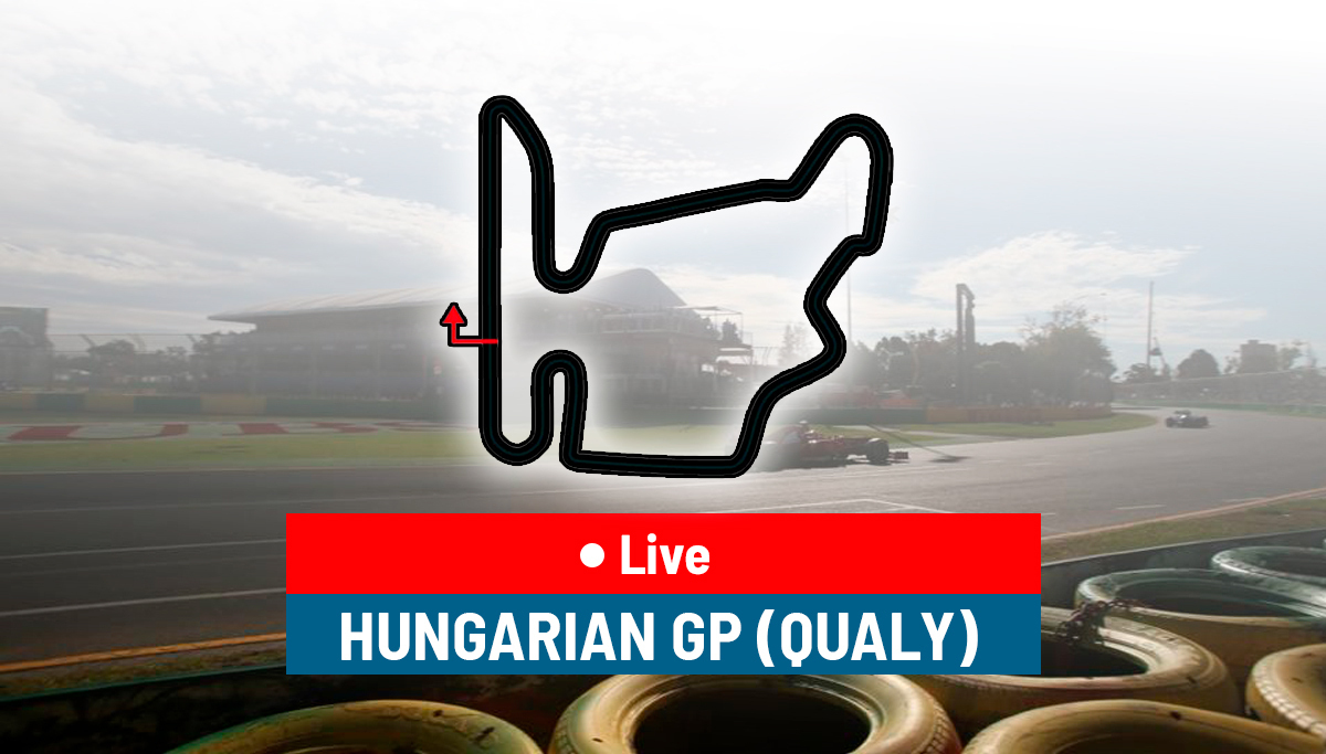 F1 Qualifying- Hungarian Grand Prix Lewis Hamilton pole and full starting grid