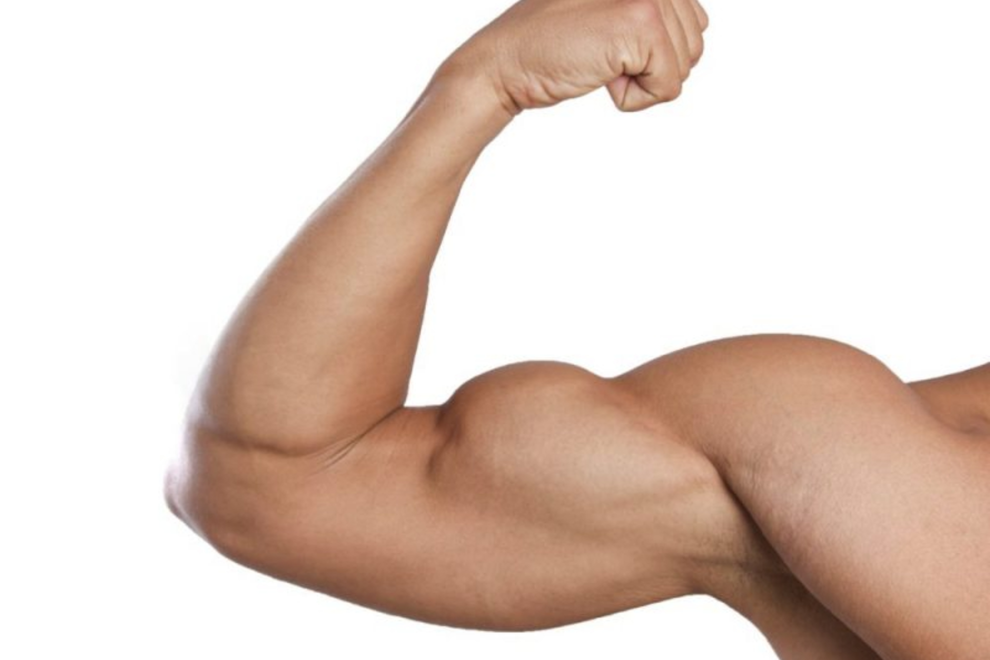¿Cuánto se tarda en conseguir unos bíceps fuertes?