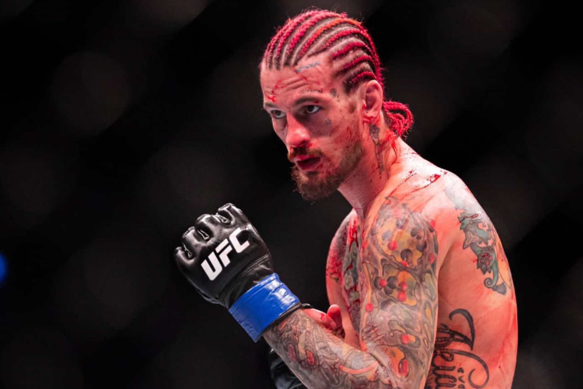 Image of Sean O'Malley during a UFC fight.
