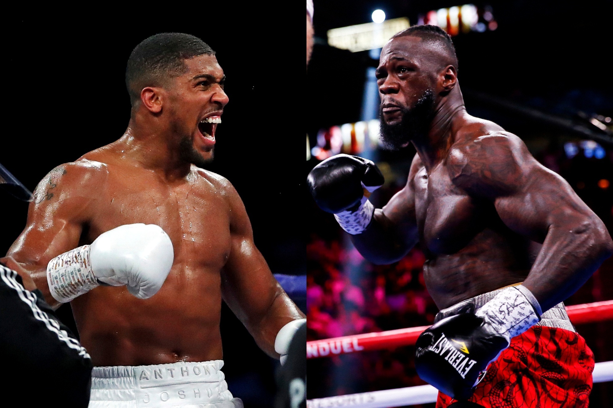 Anthony Joshua (L) and Deontay Wilder (R).