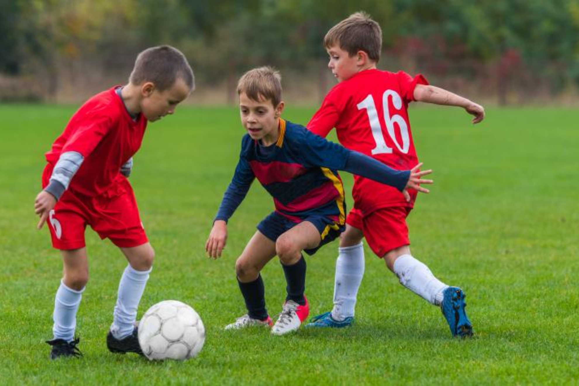 Las mejores actividades deportivas a las que apuntar a tus hijos este año