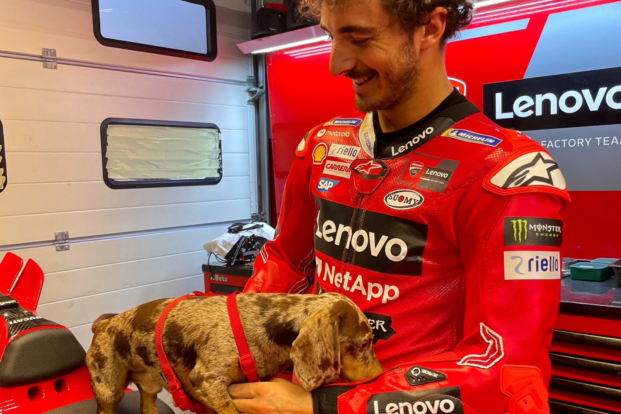 Pecco Bagnaia, con su perro y su moto en el box de Ducati en Misano, hoy.