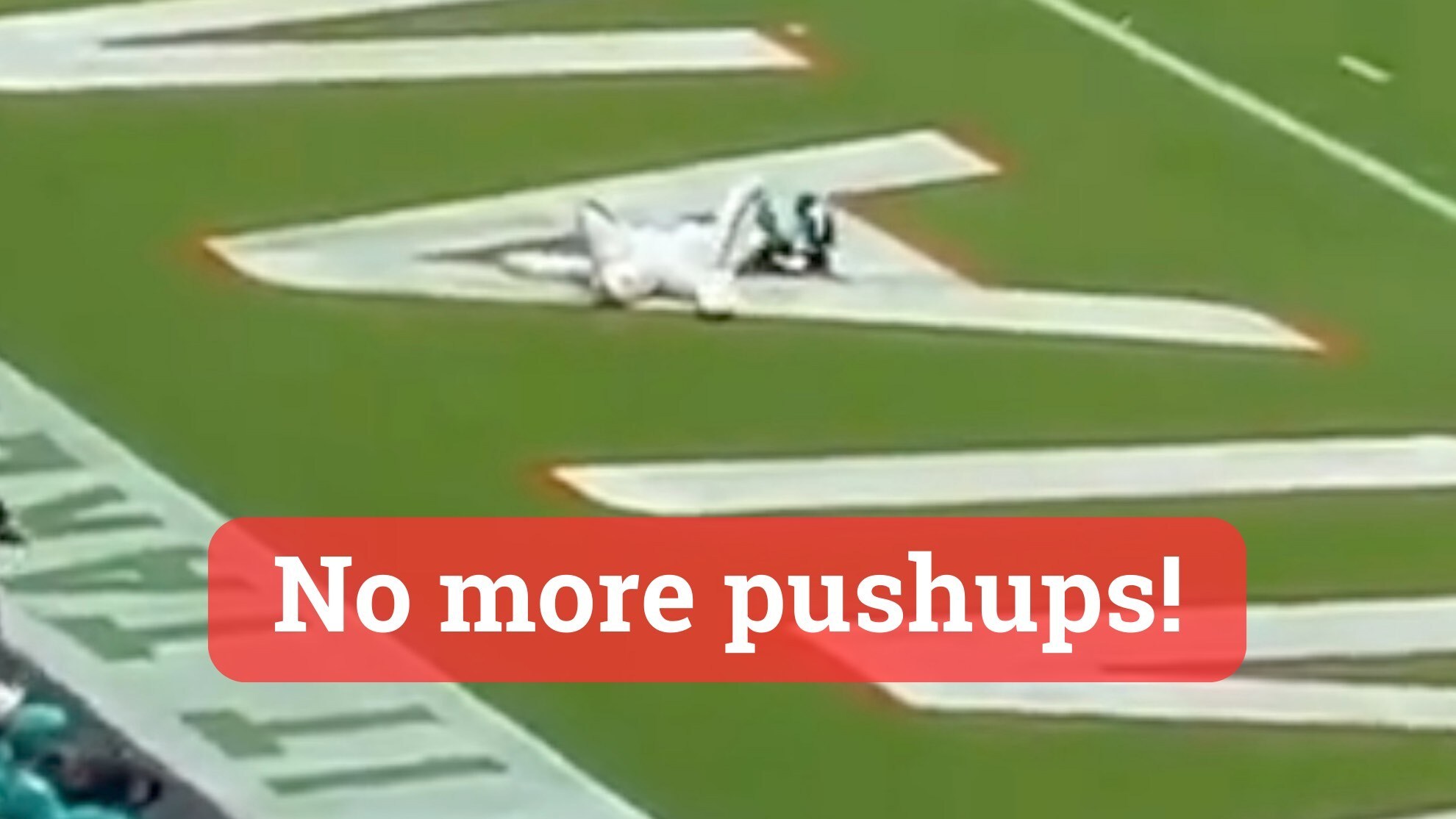 Miami Dolphins score 70 points and the poor mascot can't keep up