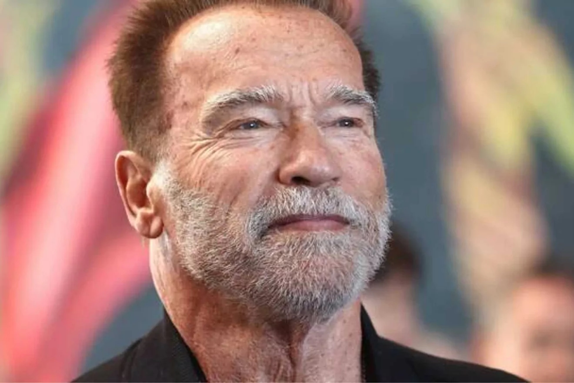 Arnold Schwarzenegger Reveals His biggest f k Up Led To Him Arnold Schwarzenegger Reveals His biggest f k Up Led To Him