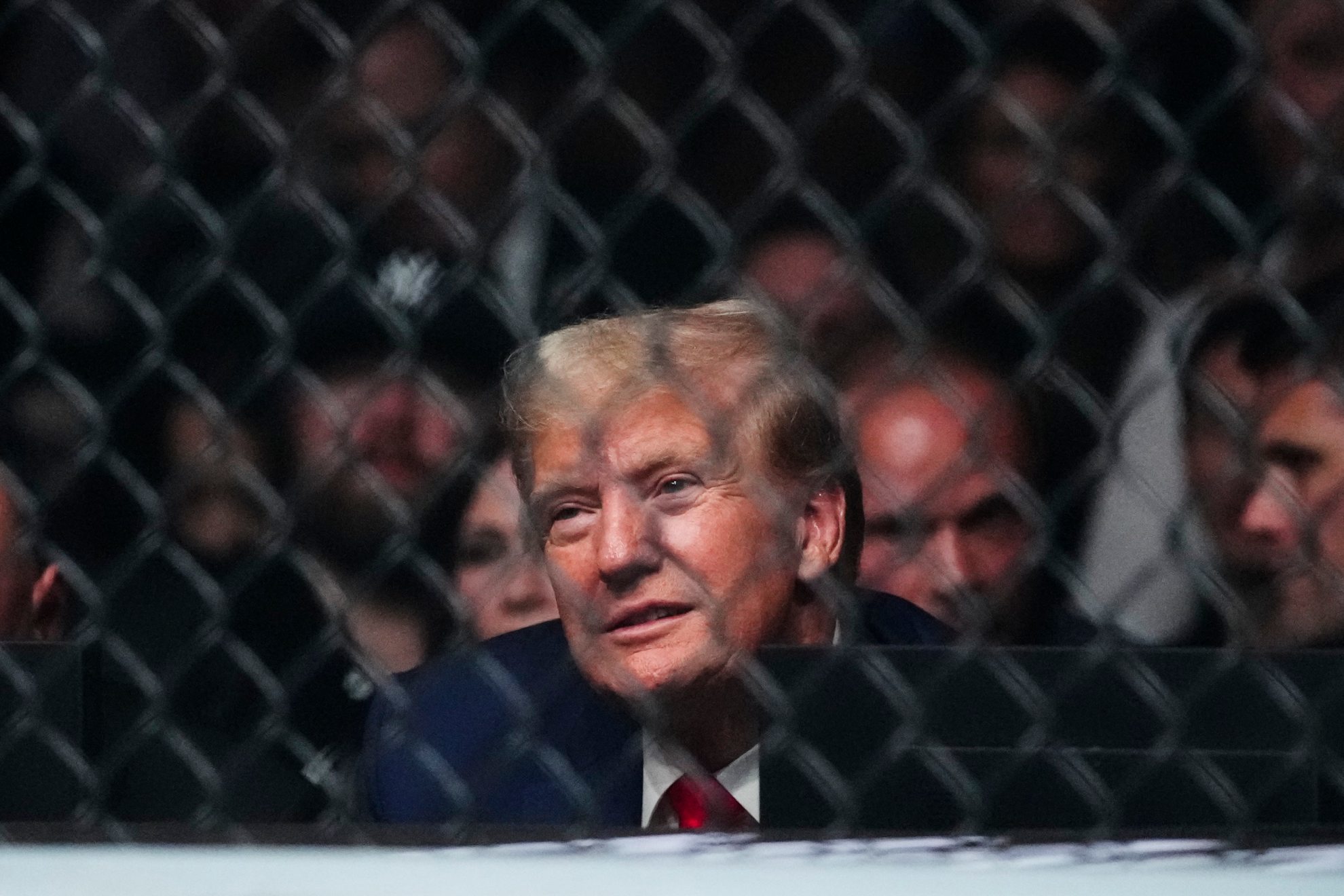 Donald Trump, el fan más famoso de la UFC