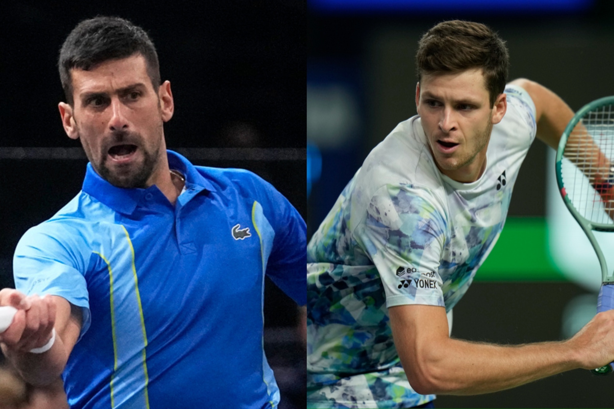 Novak Djokovic will face Hubert Hurkacz  in Day 5 of the ATP Finals tournament