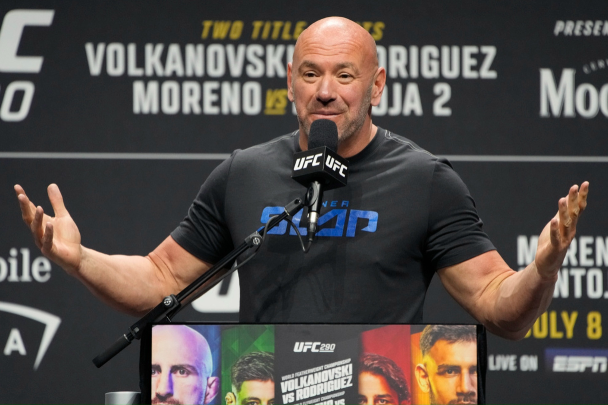 Dana White during a news conference for the UFC 290.
