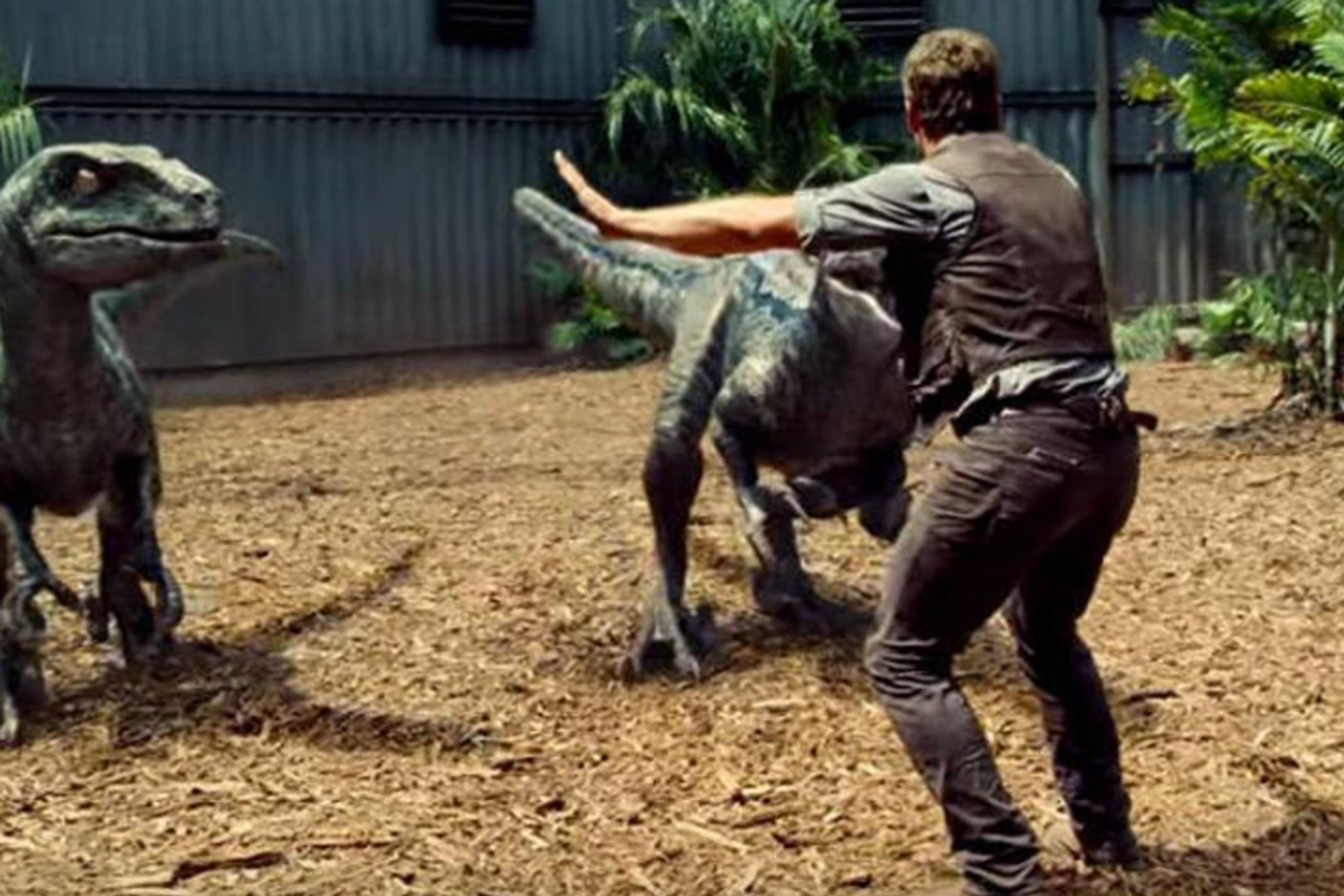 Una directora candidata al Oscar ha propuesto una versin ertica de Jurassic Park: Sera un drama domstico