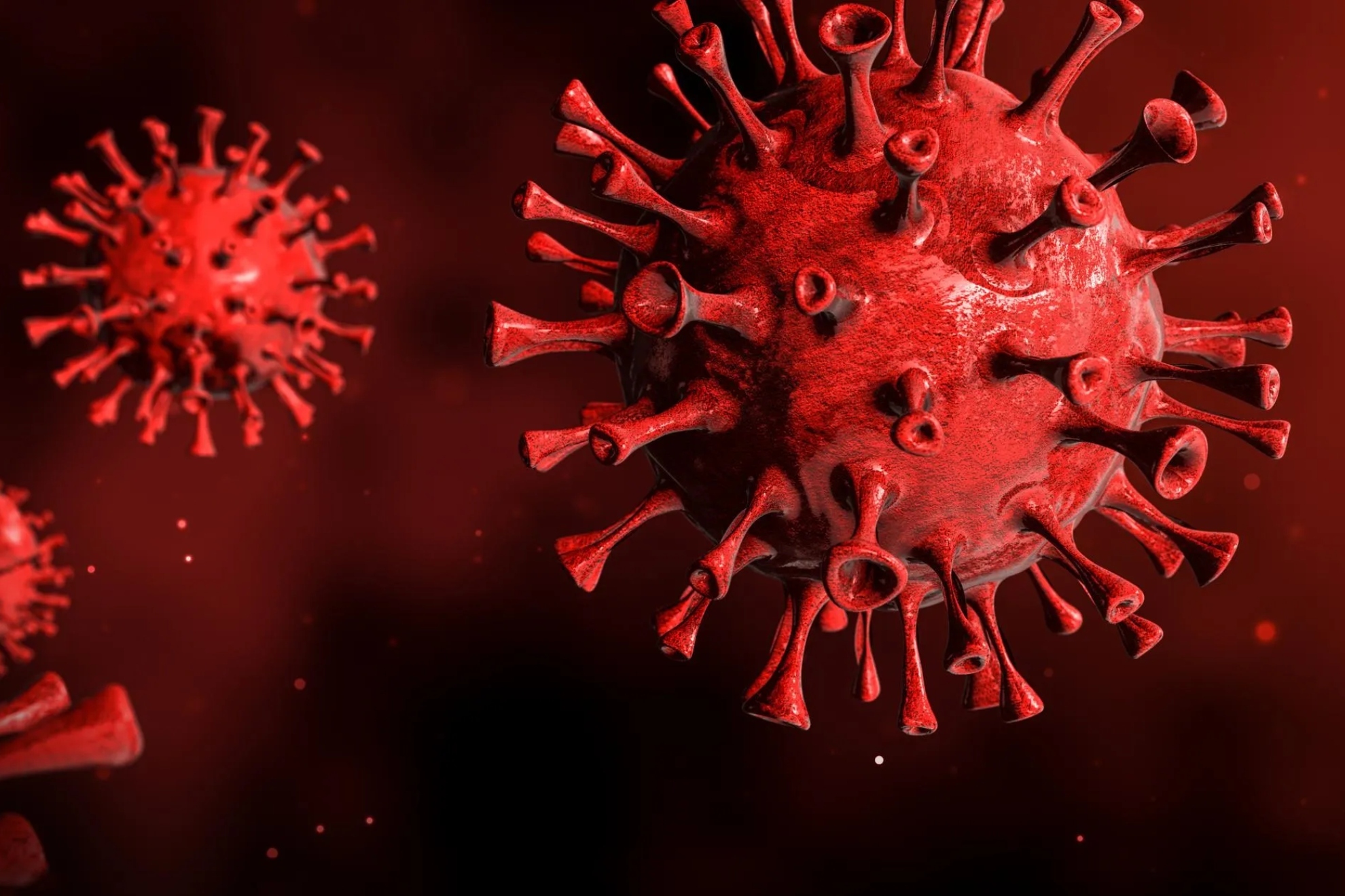 Pirola, la nueva variante de coronavirus que acecha por Navidad.