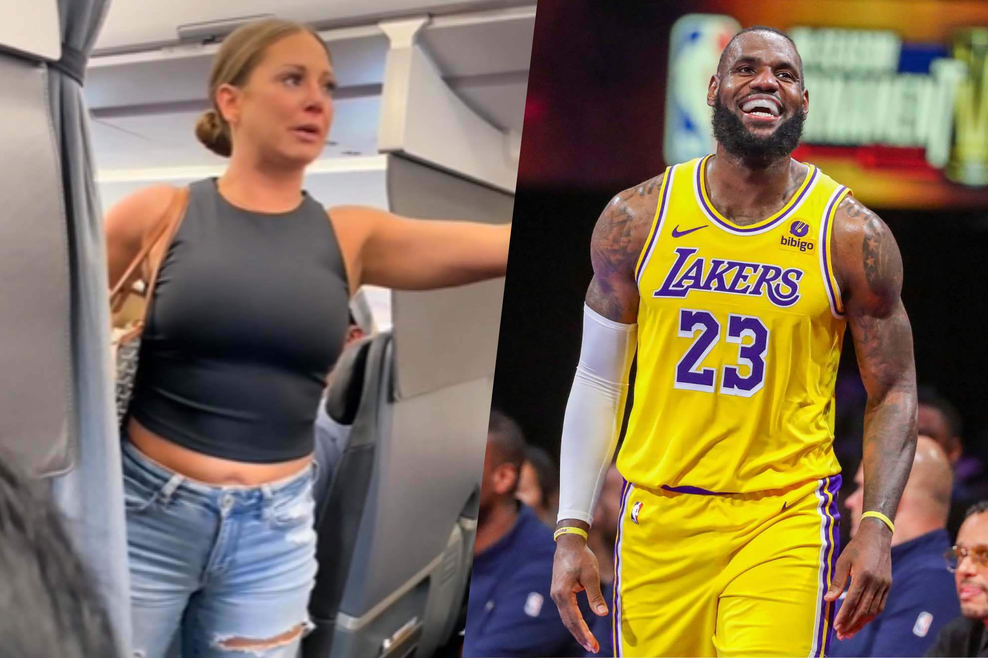 LeBron James used the viral plane lady video in an Instagram post