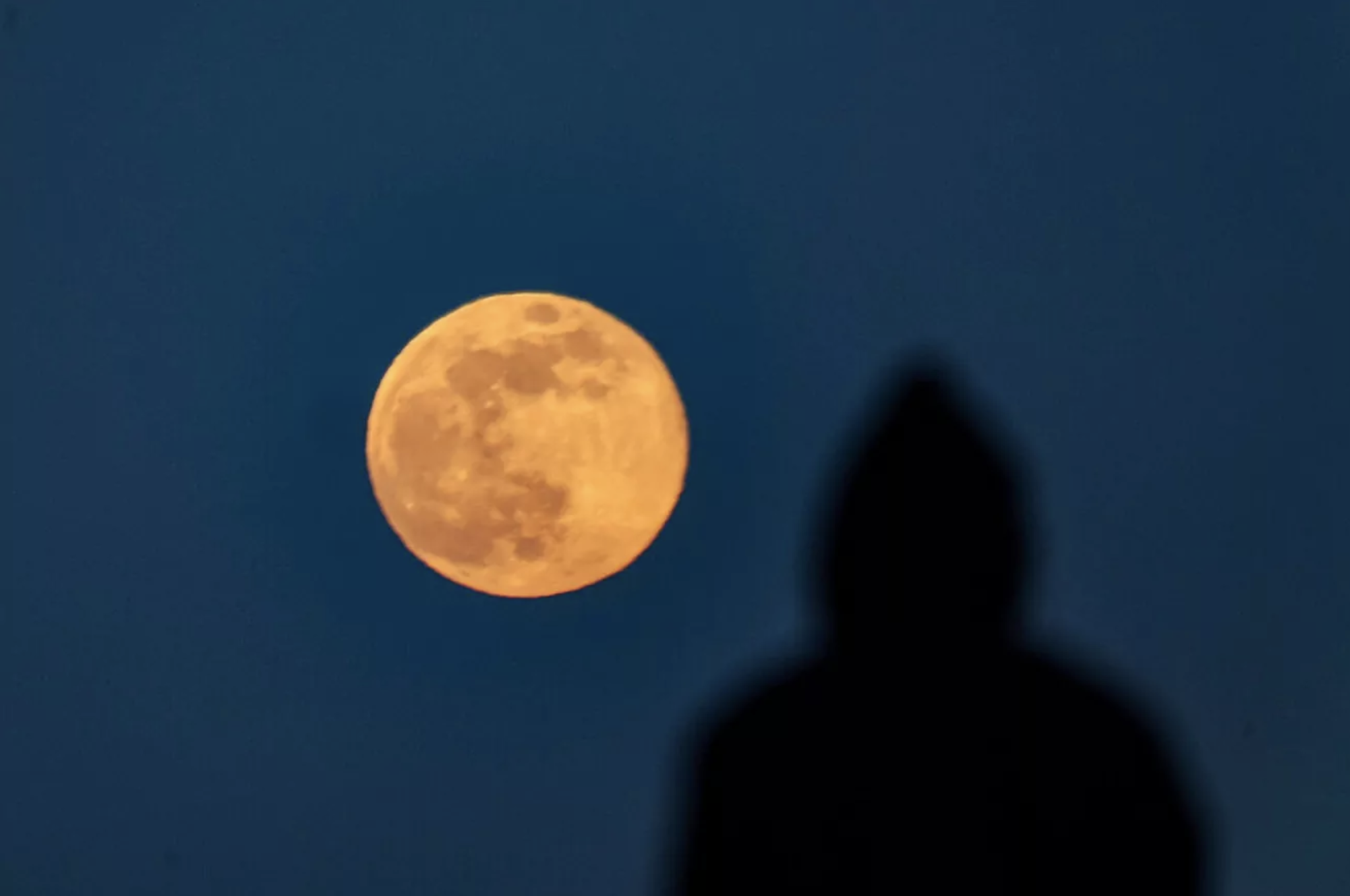 Wolf Moon Rituals: What can you do during the January full moon to make money?