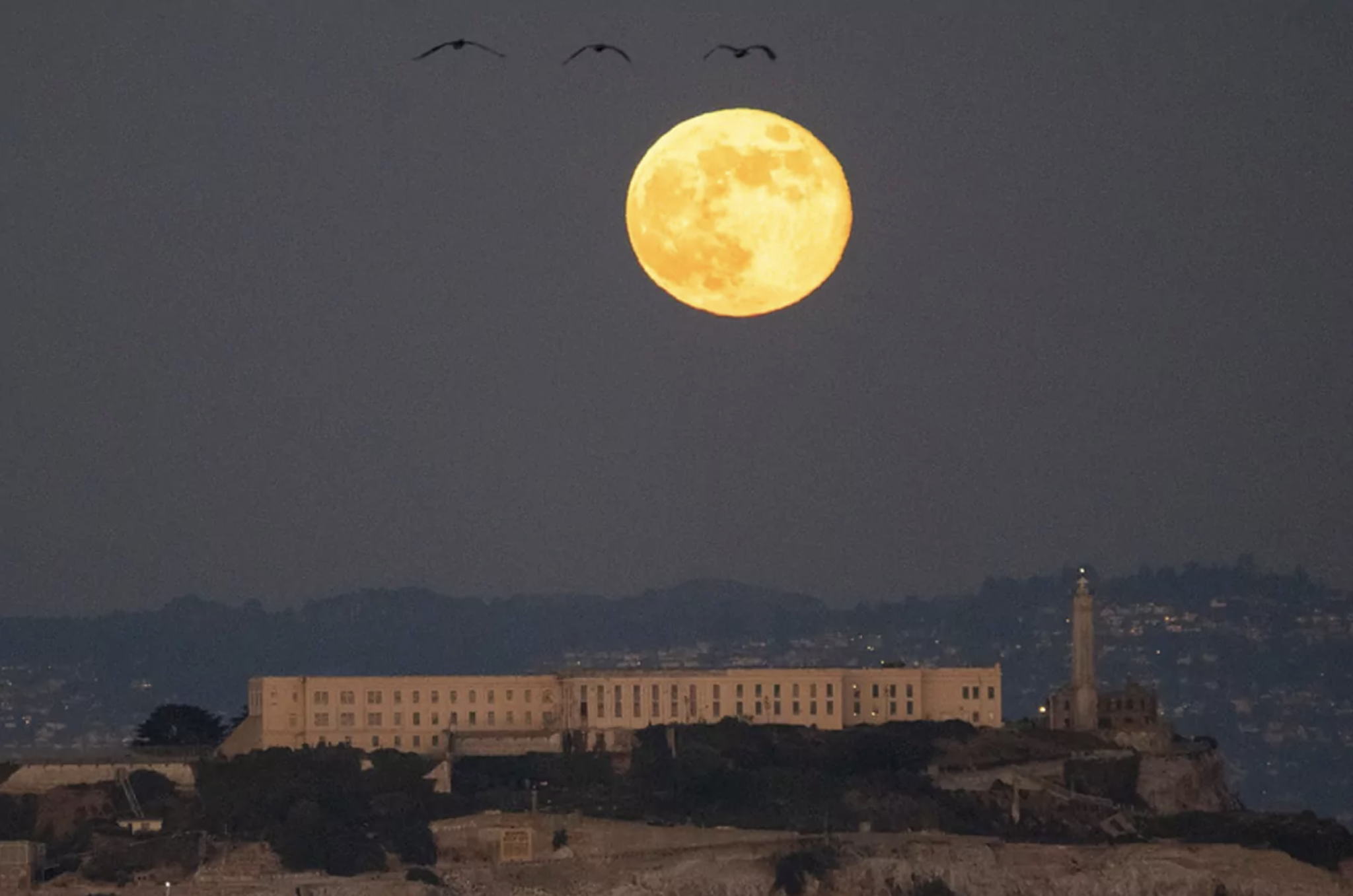 Full Moon February 2024: When is the next full moon in 2024?