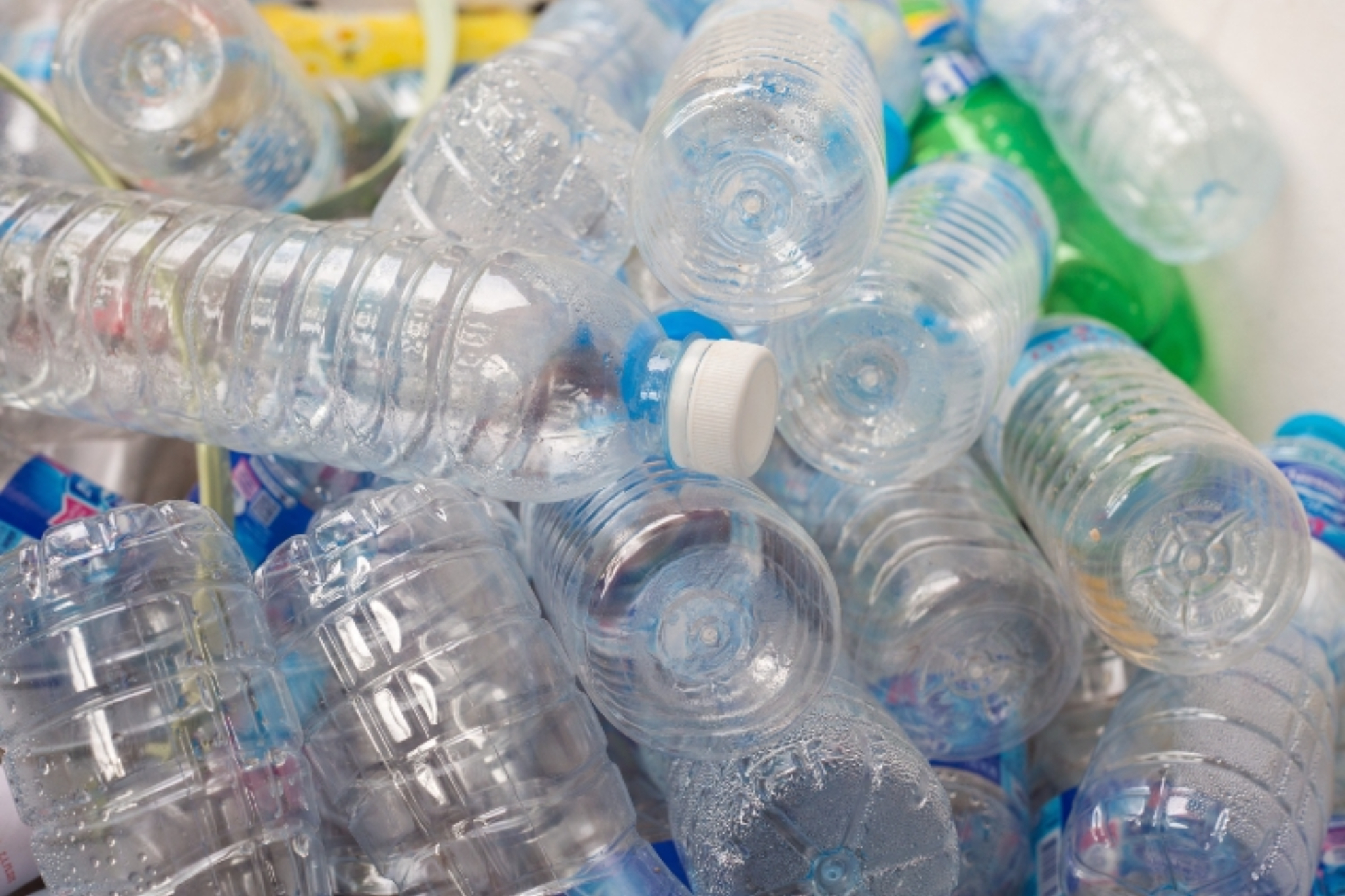 Estos son los peligros de reutilizar botellas de plstico