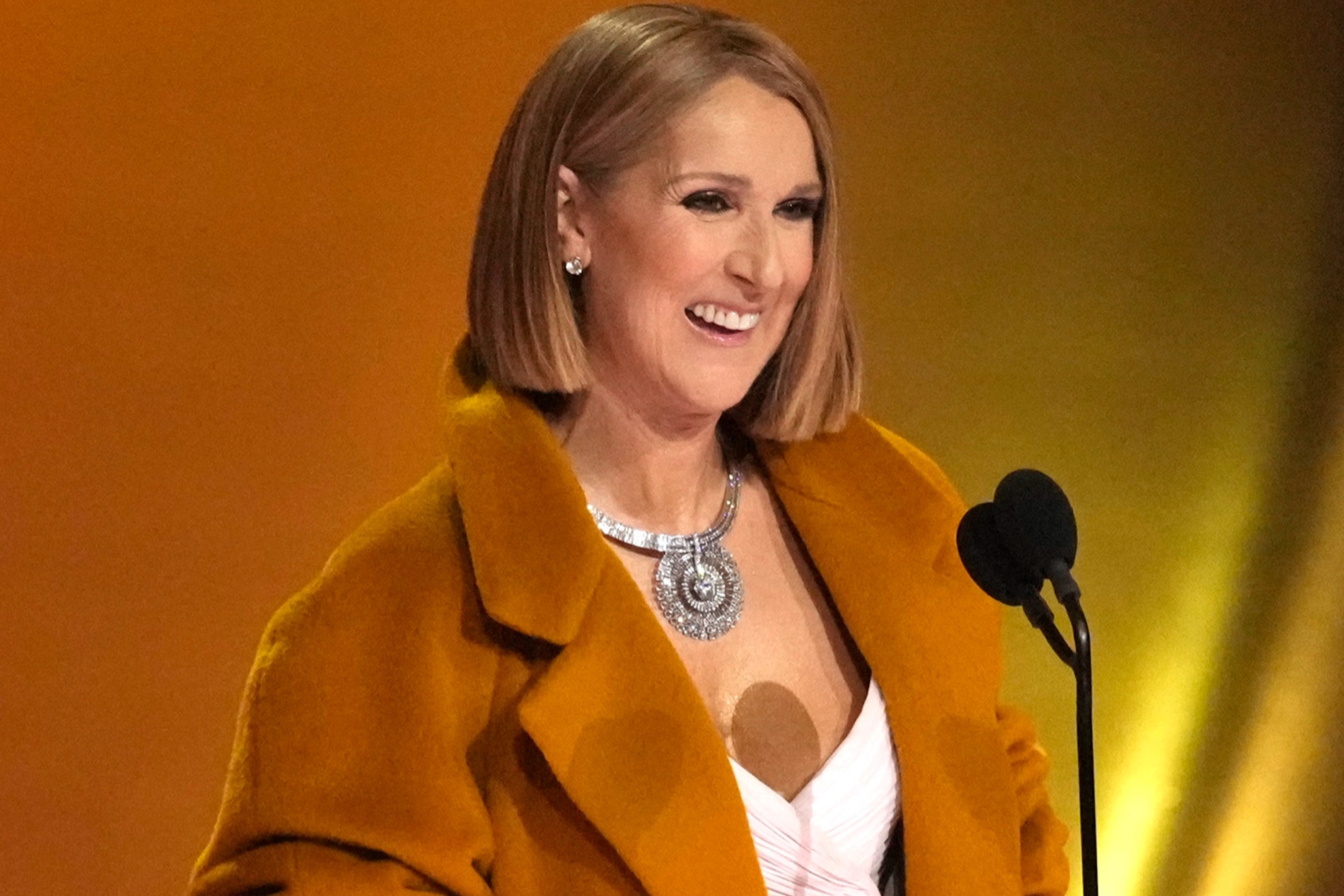 Canadian superstar Céline Dion at the Grammy Awards on February 4th.
