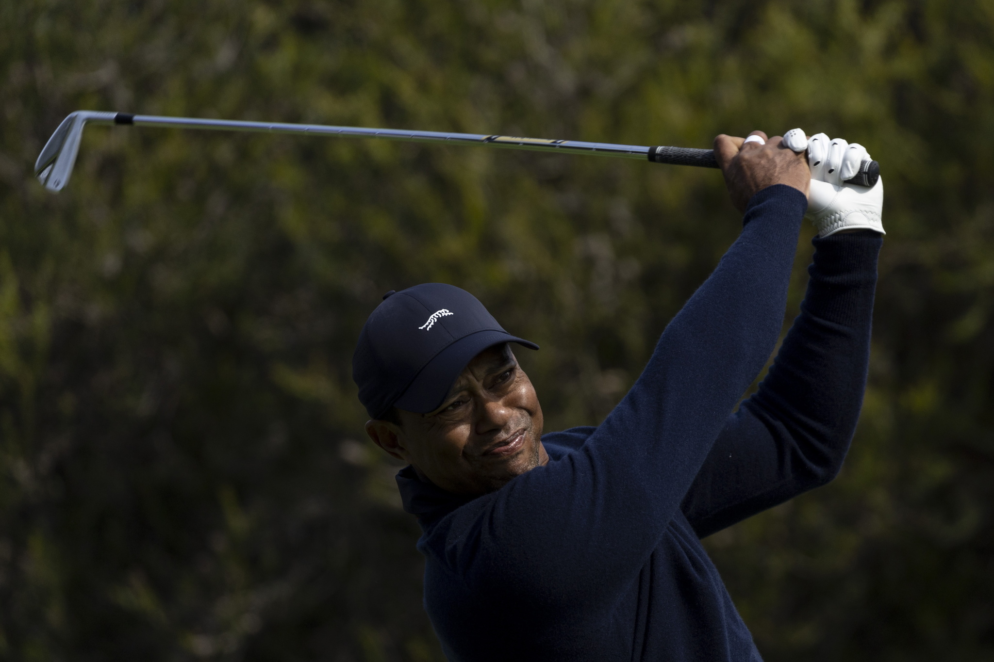 Tiger Woods in action