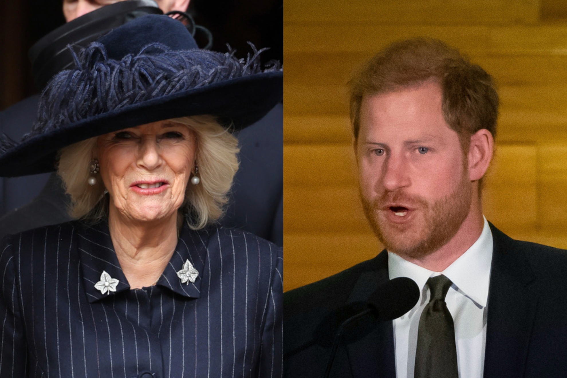 Queen Camilla and Prince Harry have had a strained relationship