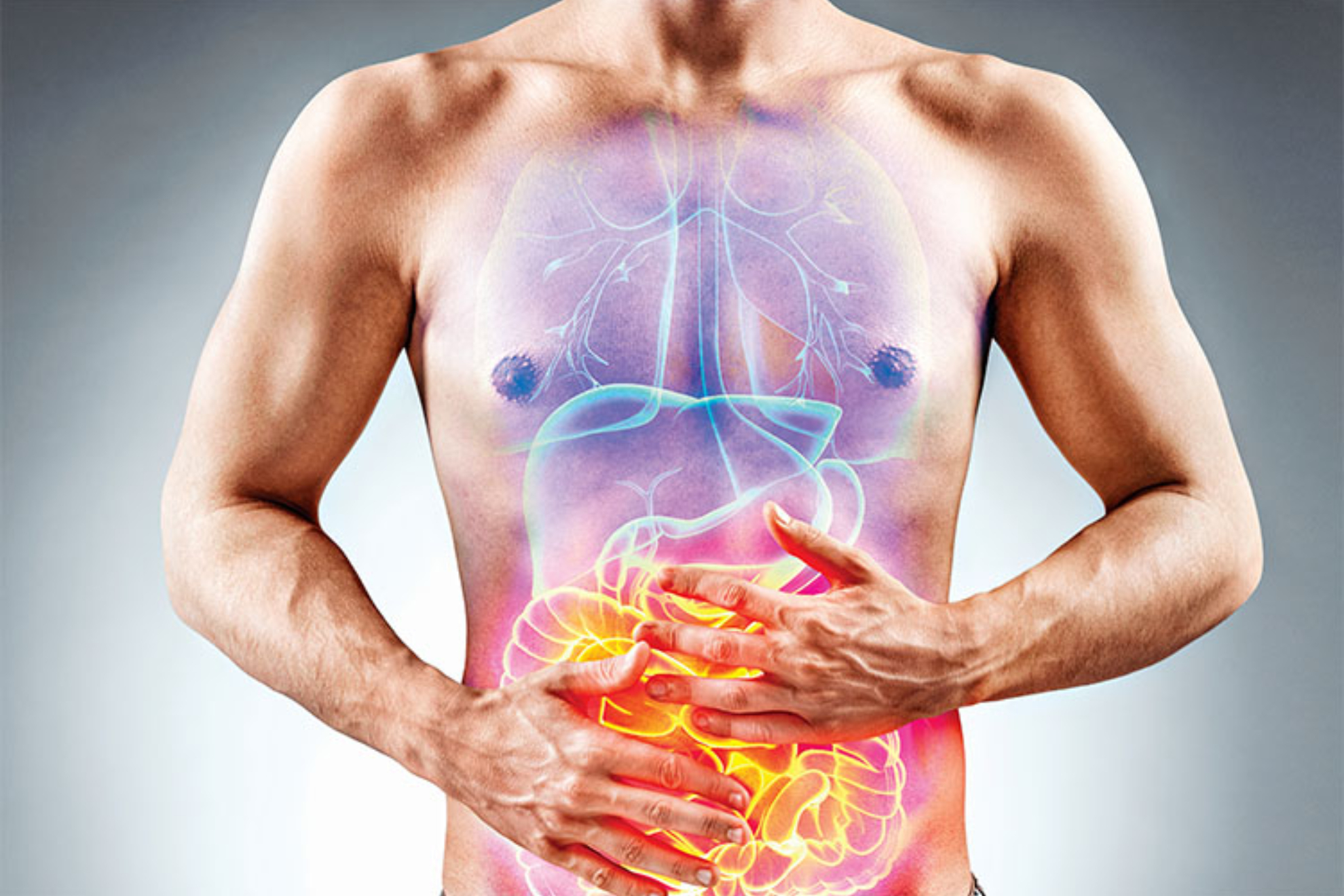 Qu es la disbiosis intestinal? Causas, tipos y tratamiento