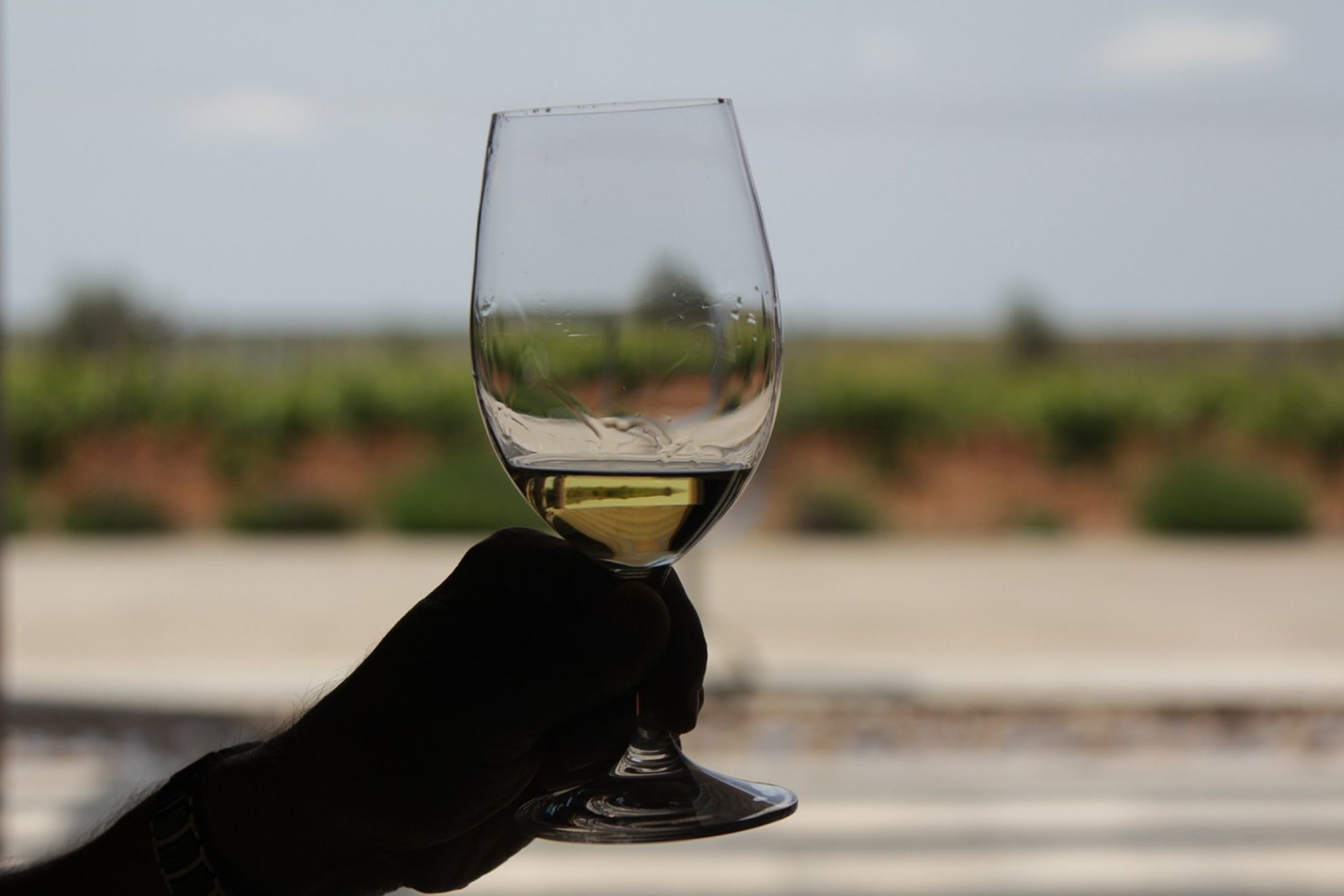 El mejor vino de Rueda vale apenas 10 euros y es alabado por los expertos enlogos