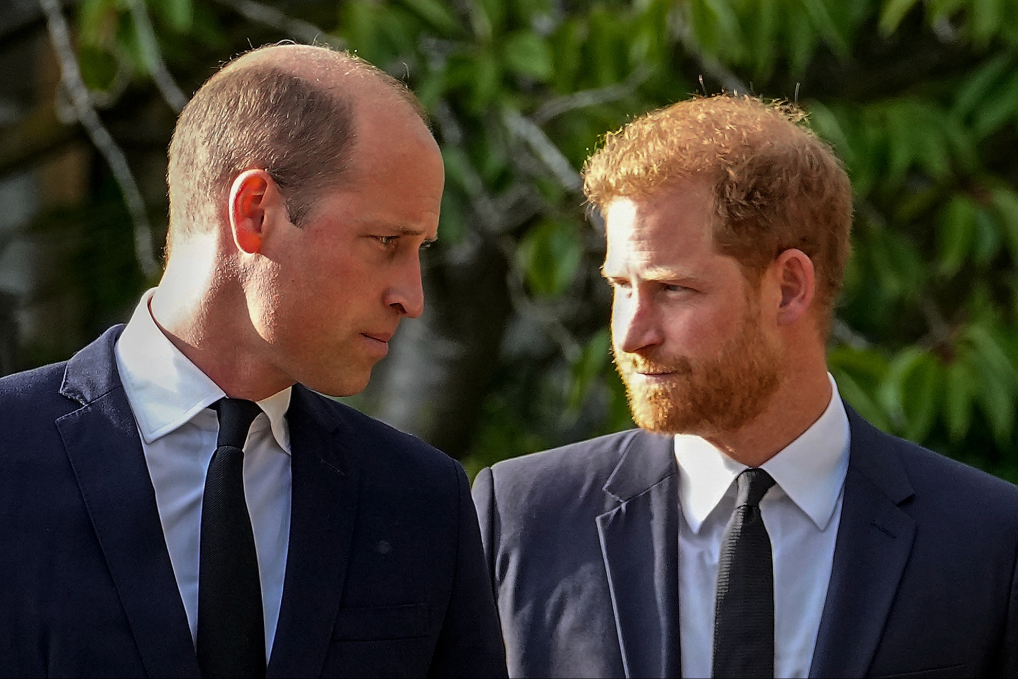 The Prince of Wales, Prince William, and the Duke of Sussex, Prince Harry.