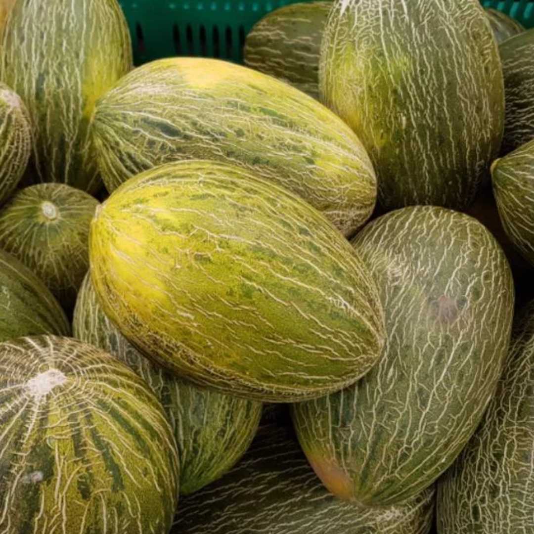 Alerta por unos melones de Marruecos con pesticidas