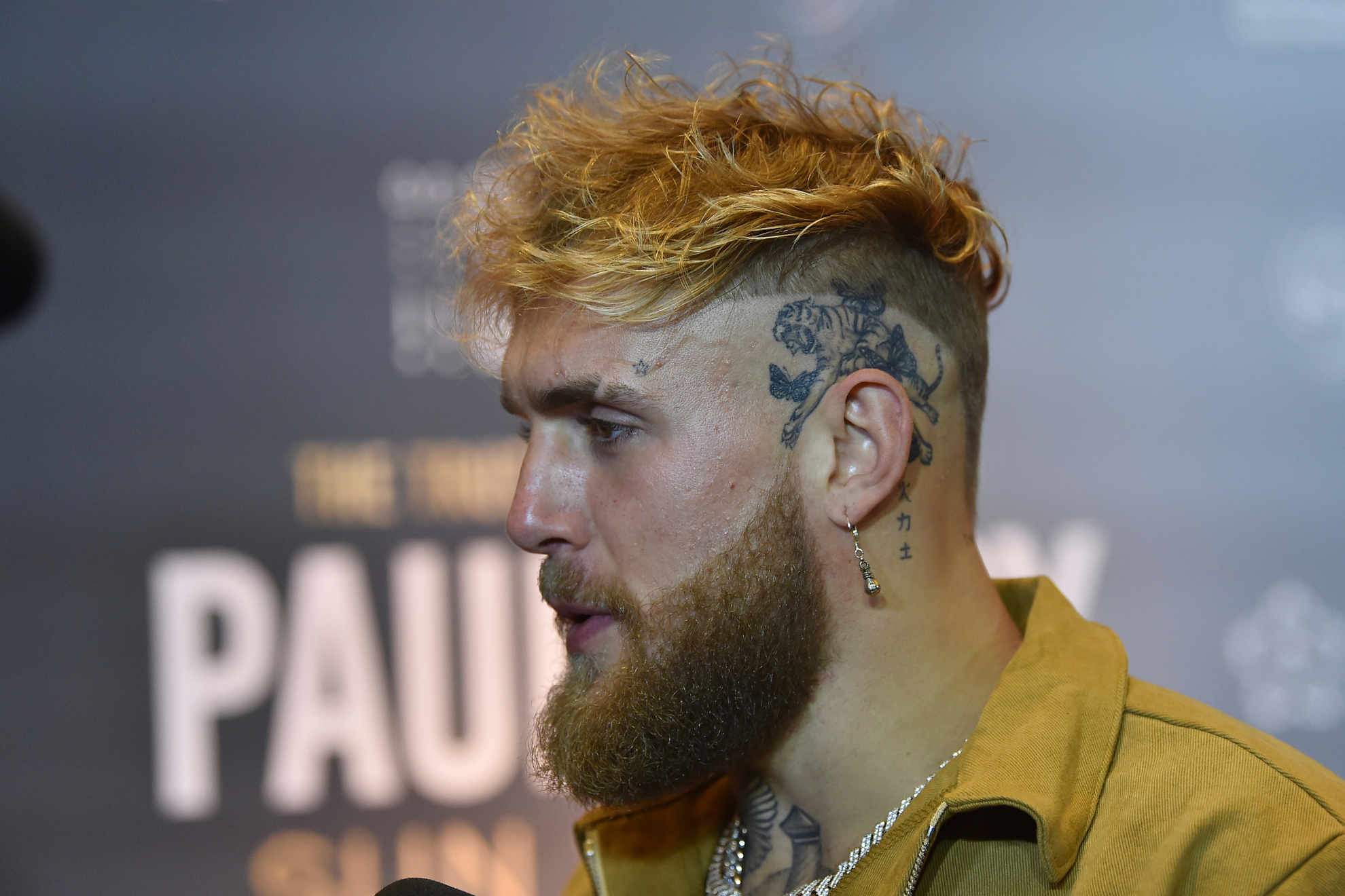 Jake Paul before the Tommy Fury fight.