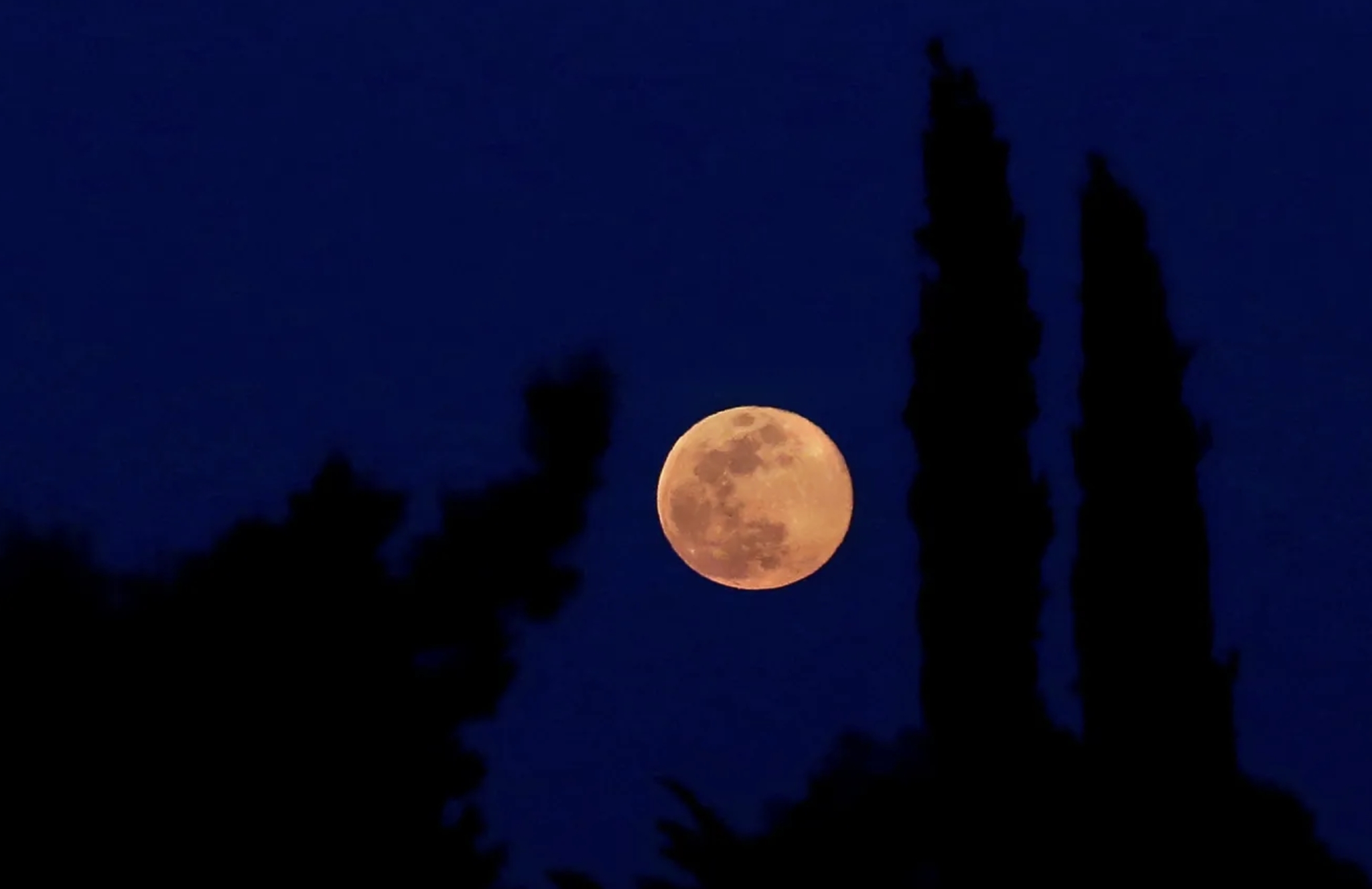 Pink Moon: Why does the full moon in April get that name?